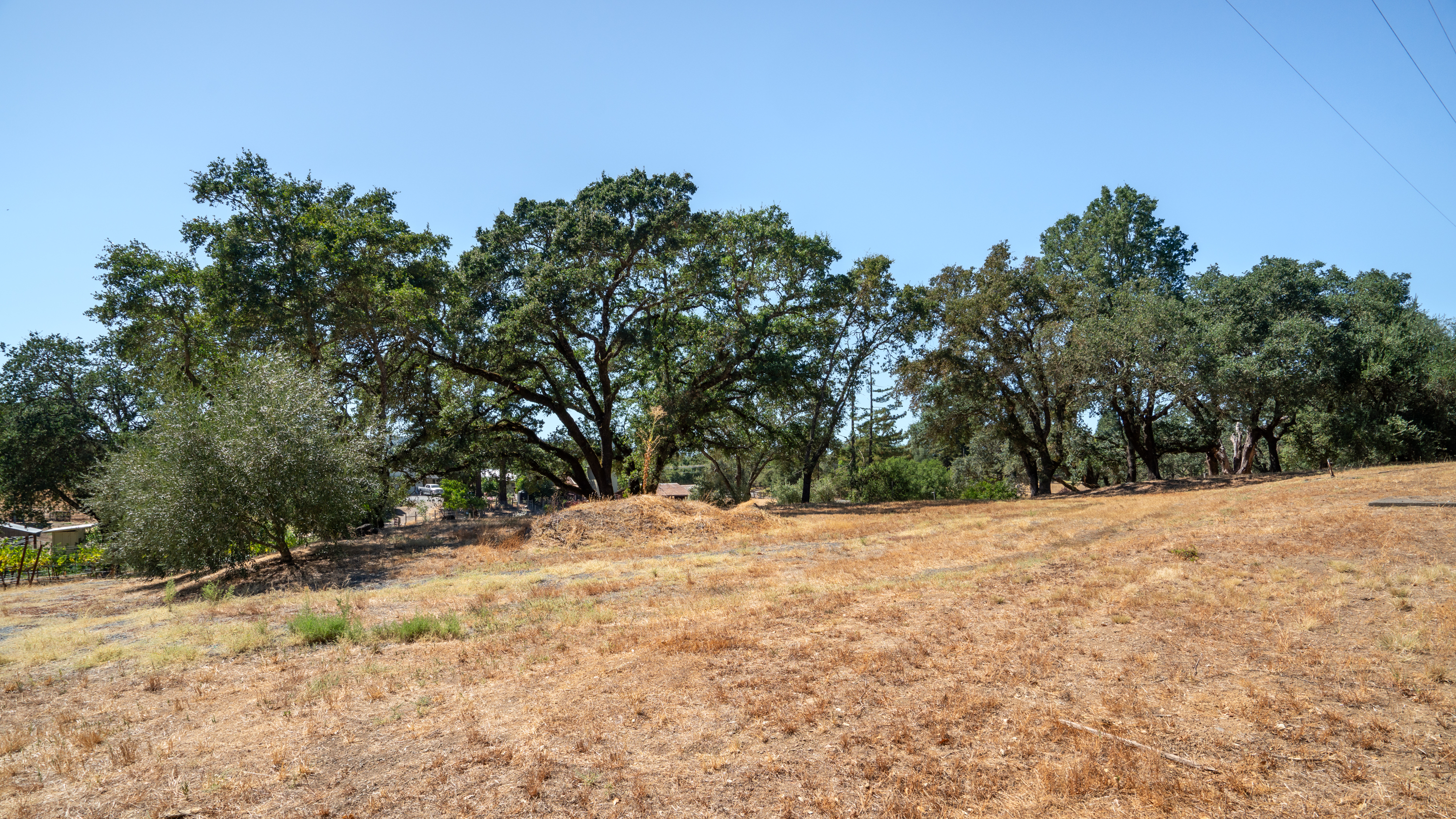  Rare Opportunity in Alexander Valley - 物件實景