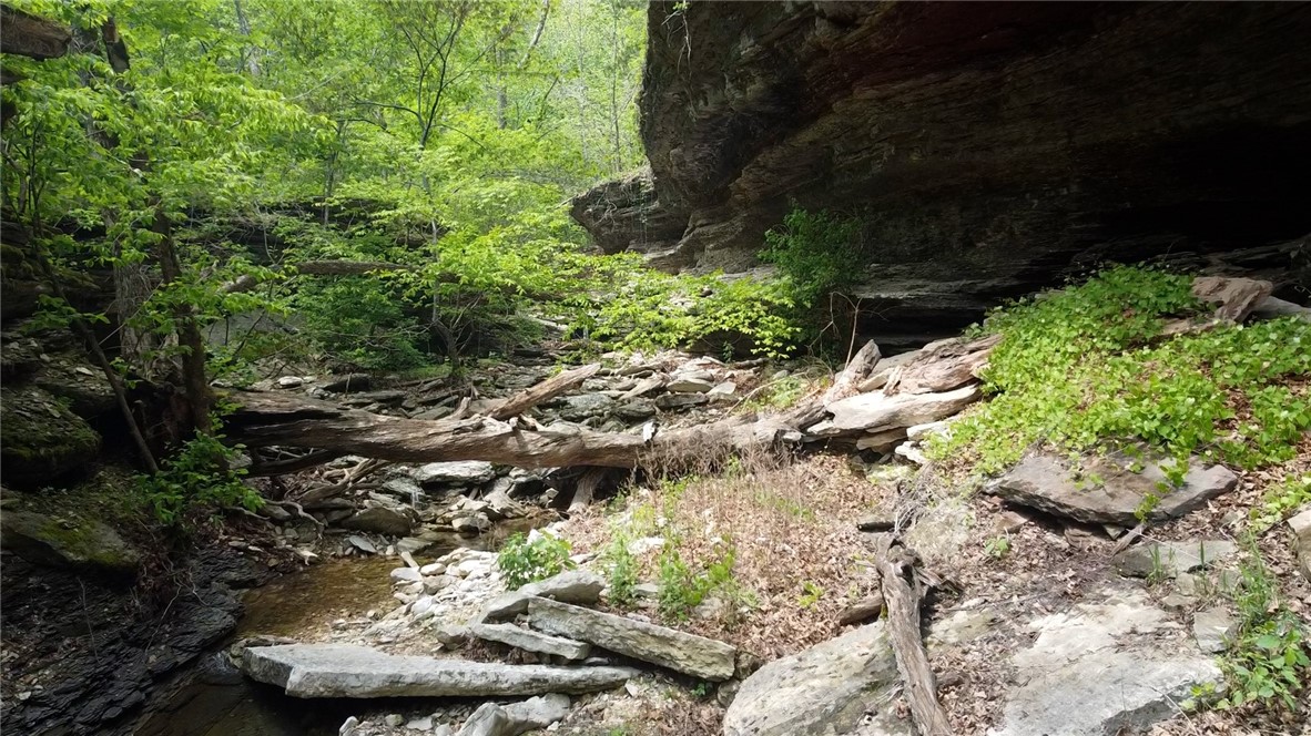 Garfield, Arkansas, 72732, United States, ,Land,For Sale,1804669