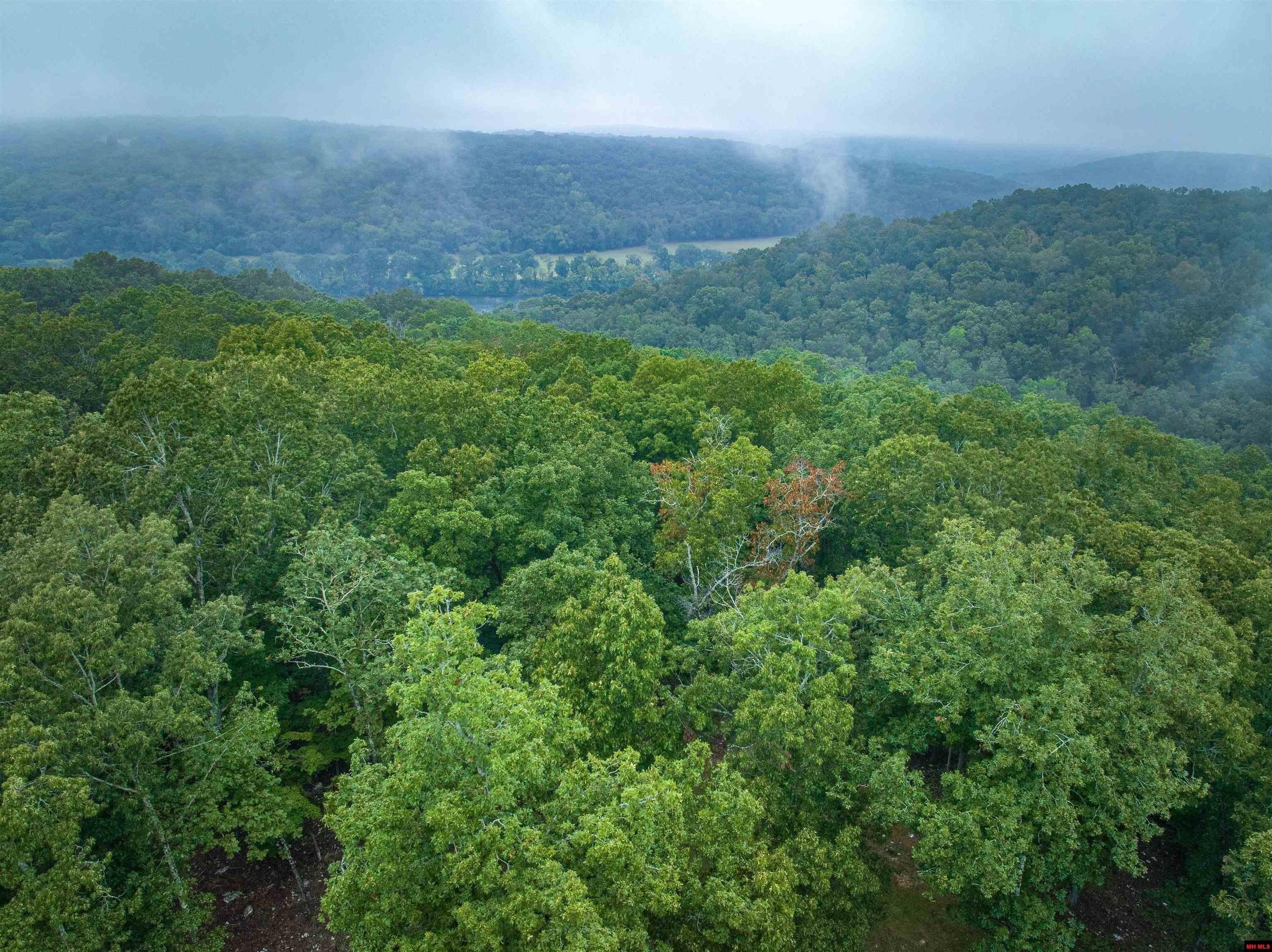 Mountain Home, Arkansas, 72653, United States, 3 Bedrooms Bedrooms, ,4 BathroomsBathrooms,Residential,For Sale,1935895
