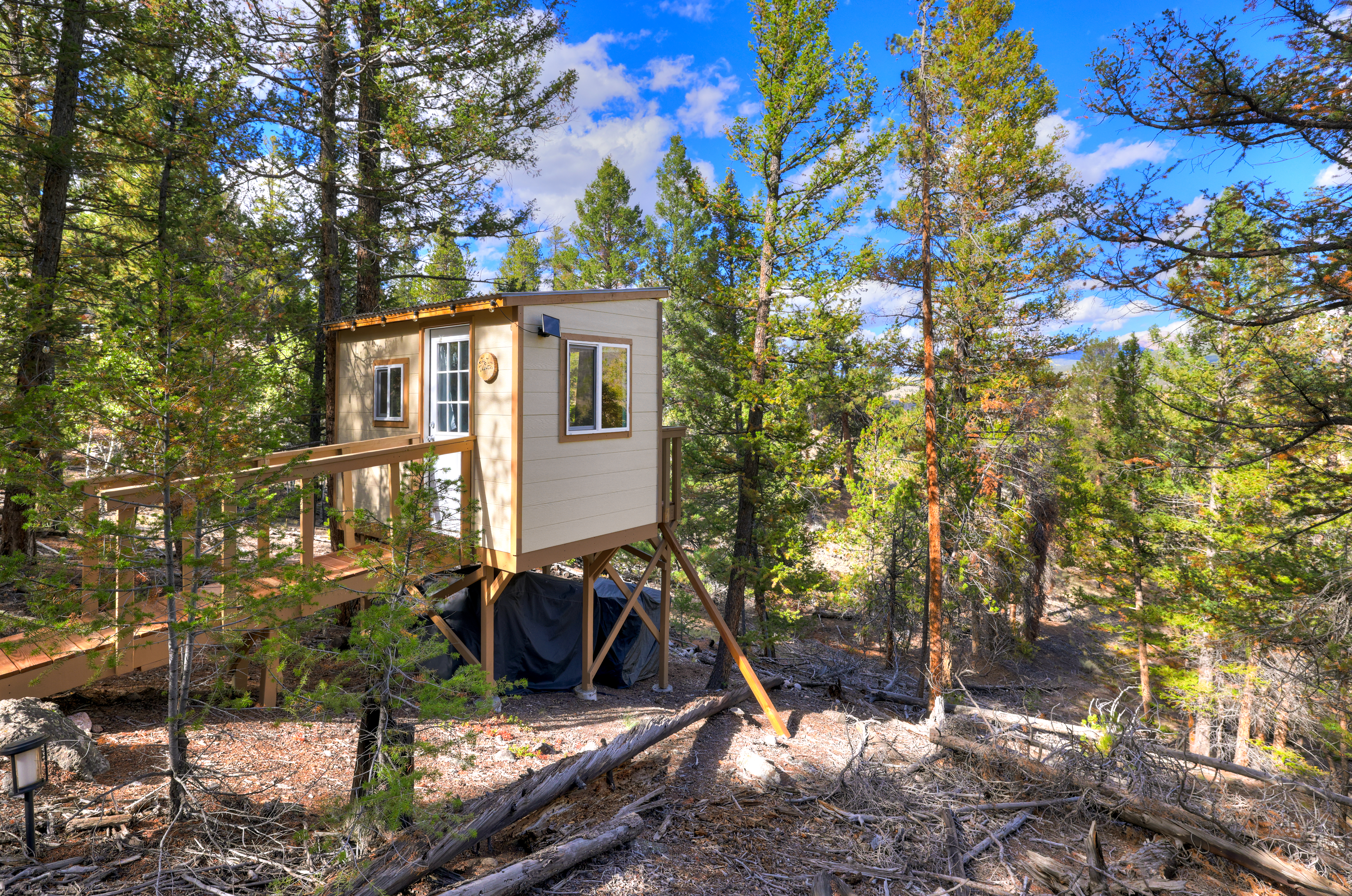  501 Reva Ridge Road, Twin Lakes, CO, 81251 - 物件實景