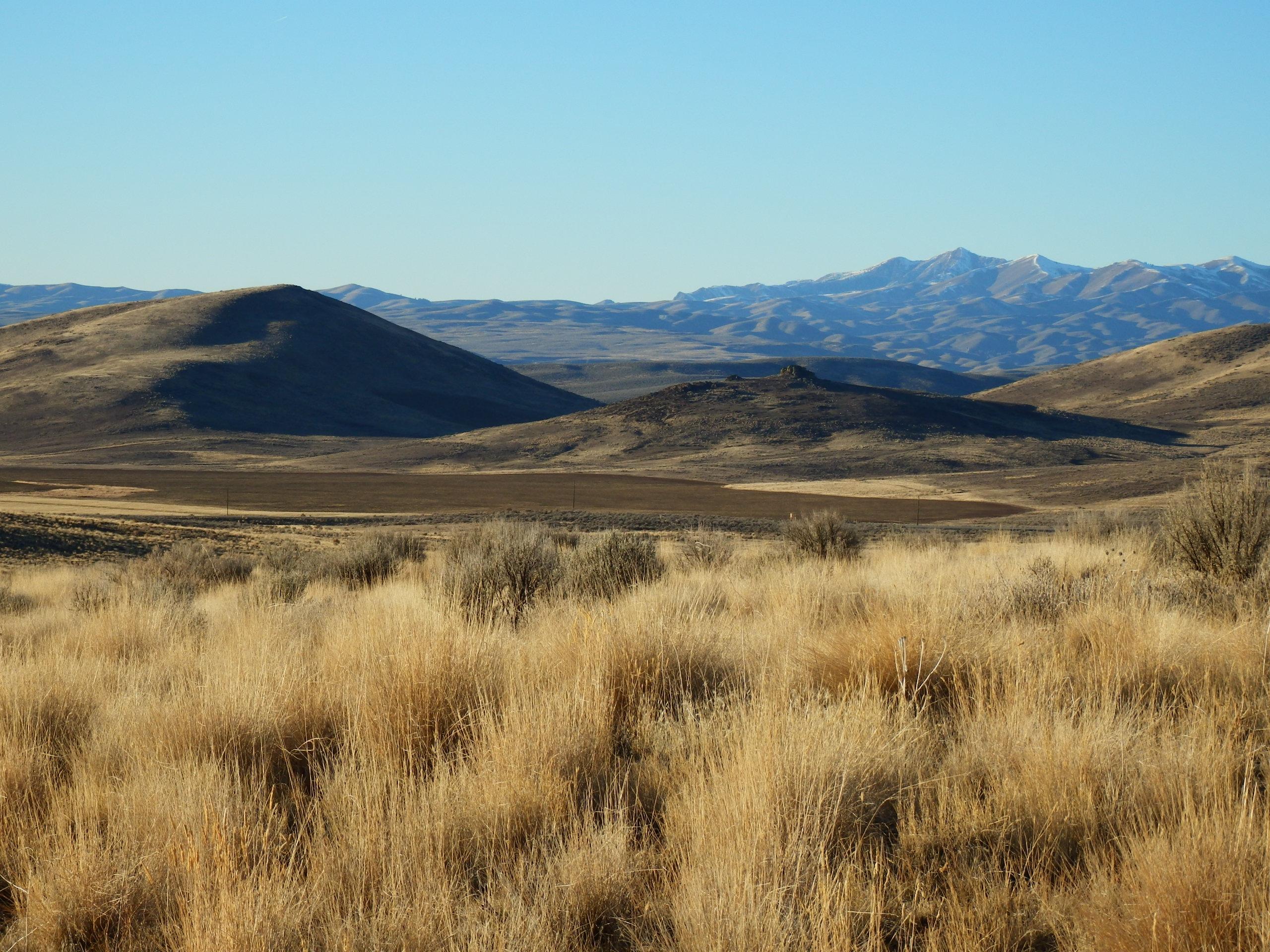 Blaine County, Idaho, 83313, United States, ,Land,For Sale,1784823