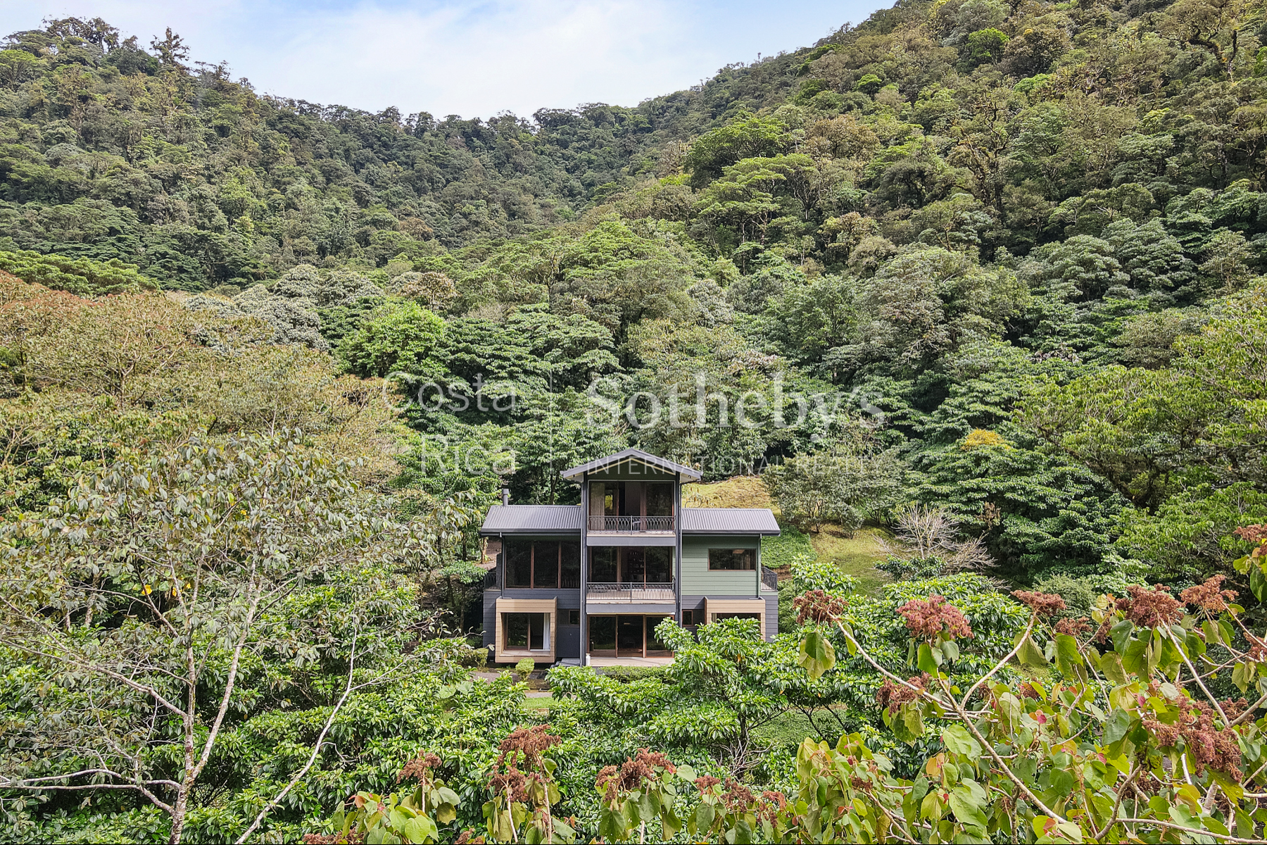  El Silencio Forest Luxe Retreat - 物件實景