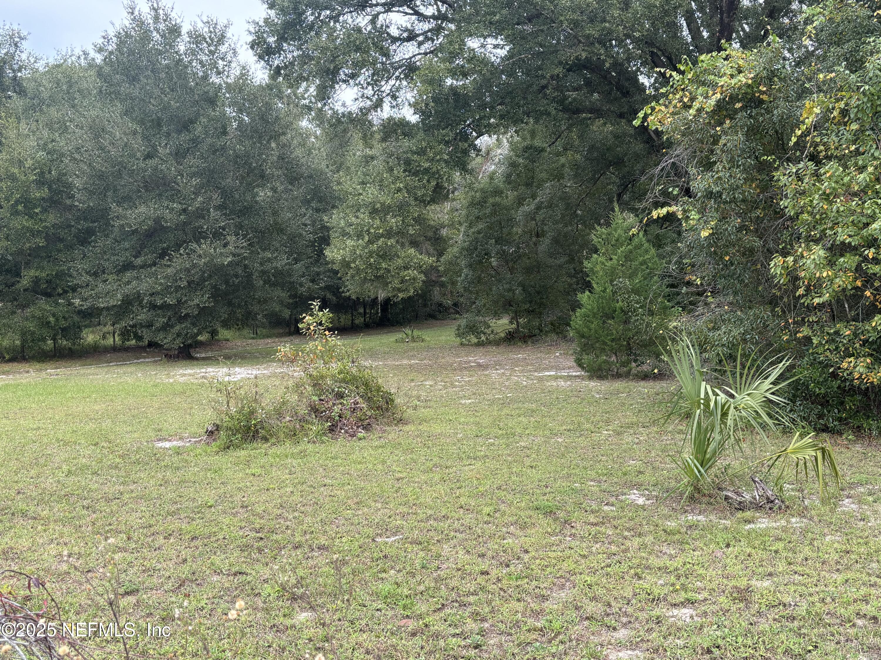 Apopka, Florida, 32712, United States, ,Land,For Sale,2003118