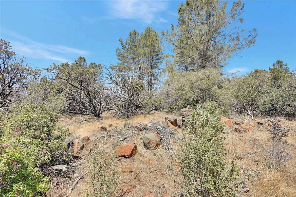 Oregon House, California, 95962, United States, ,Land,For Sale,1975767