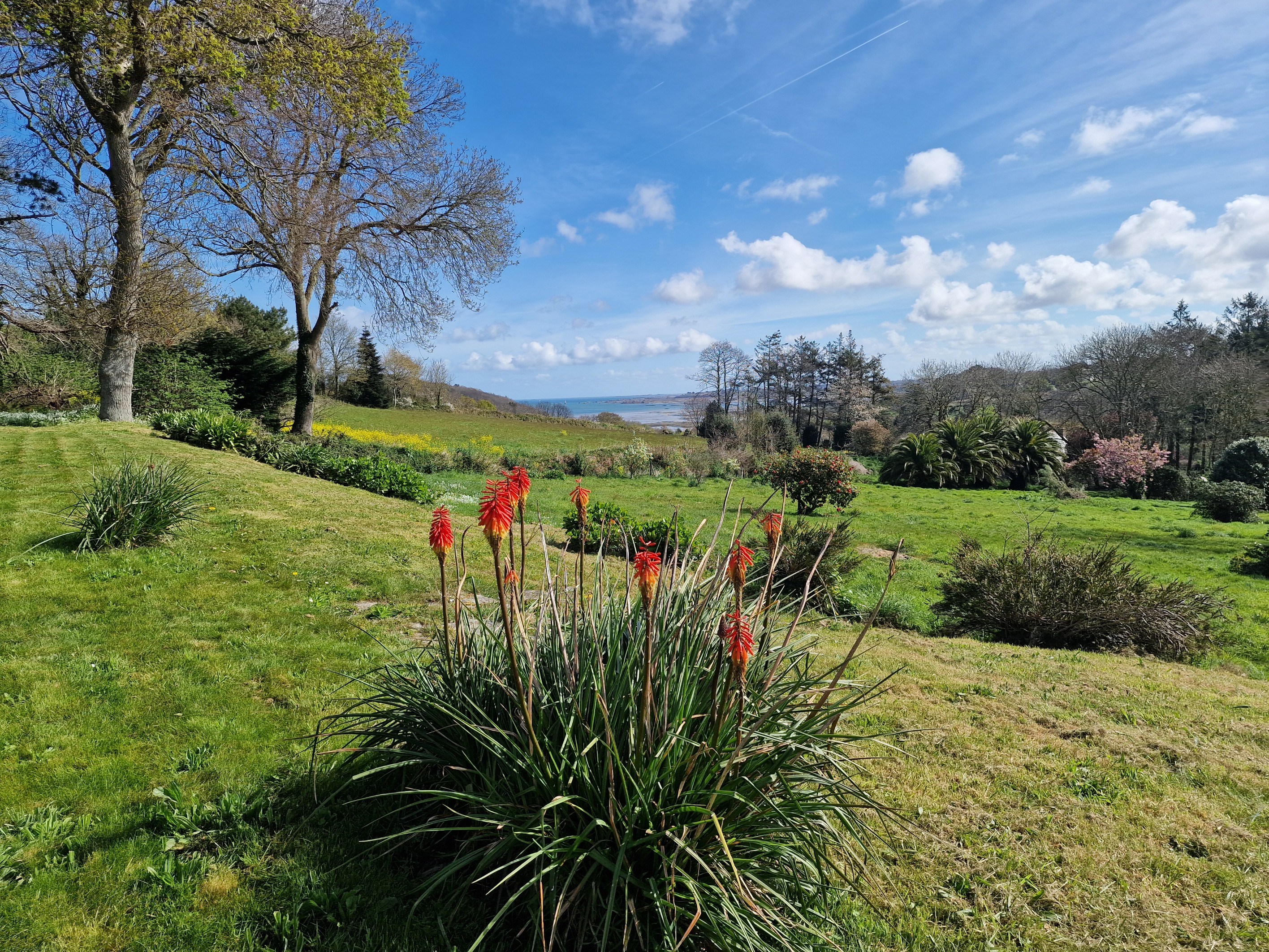  Plougrescant, spacious 328 sqm Manor close to the sea - 物件實景
