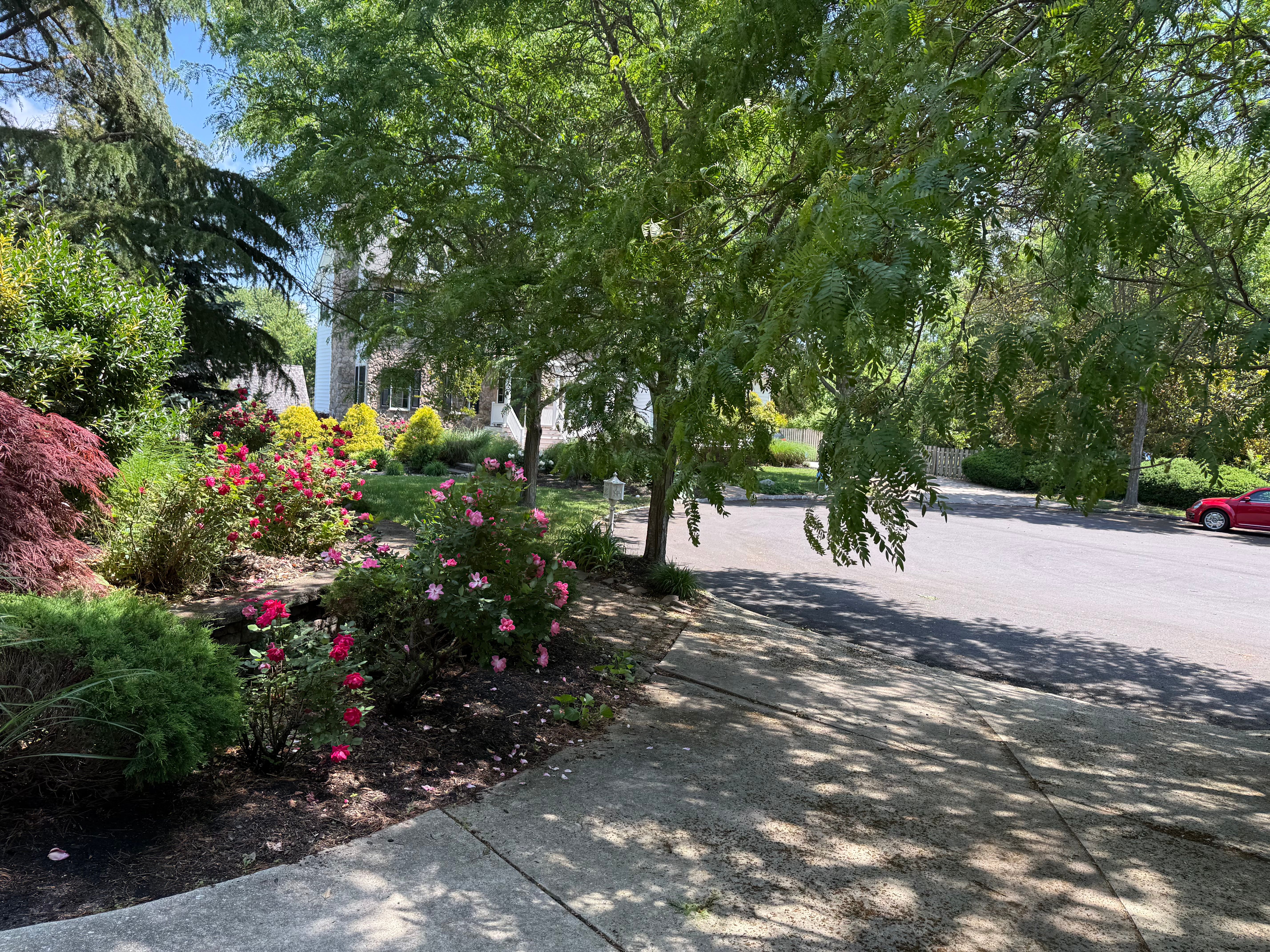  1 Barr, Linwood, NJ, 08221 - 物件實景