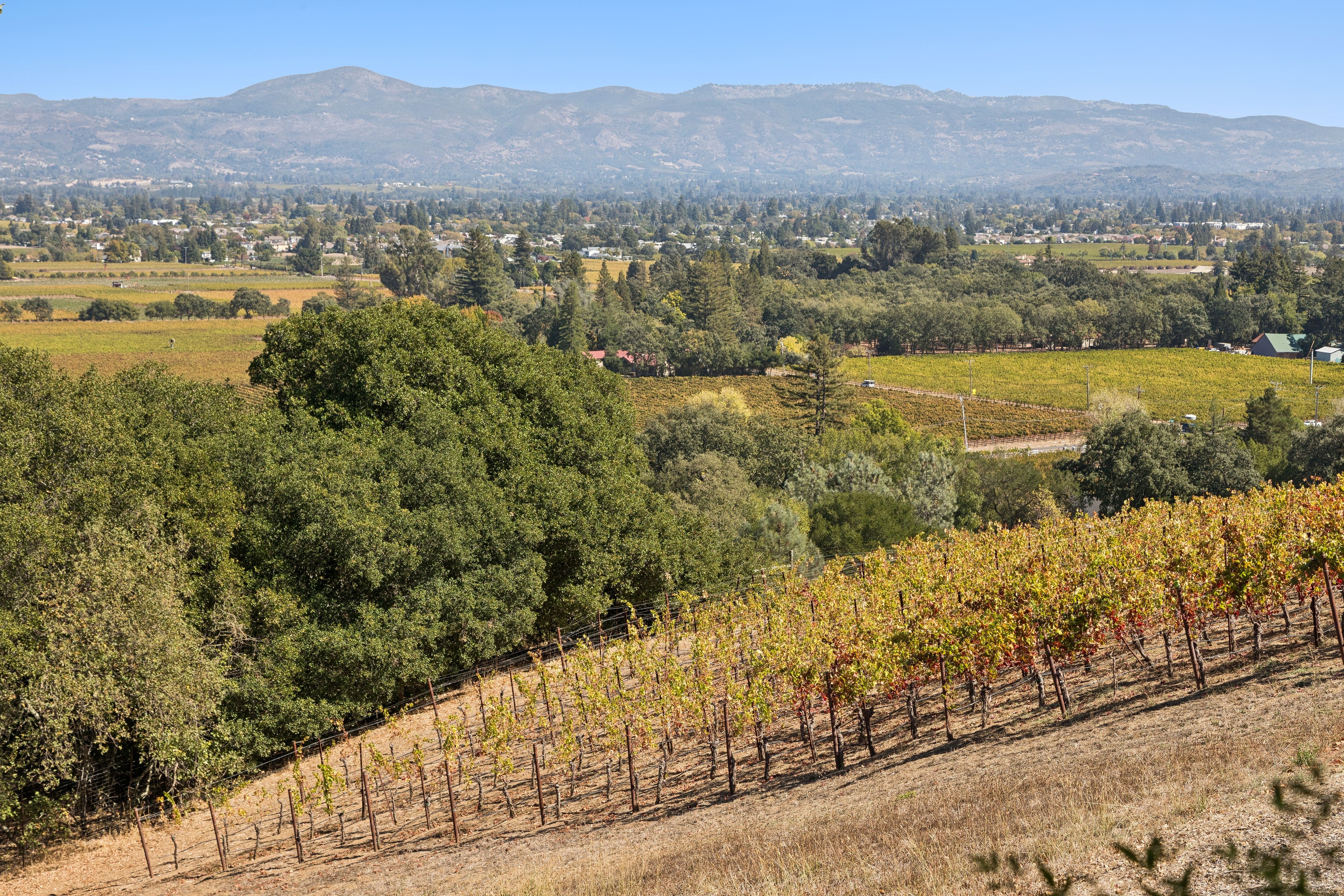  Exceptional Napa Valley Legacy Property - 物件實景