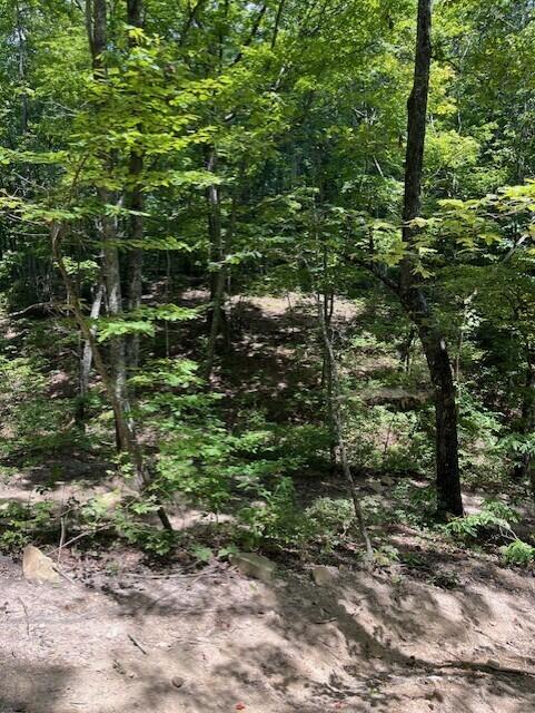 Graysville, Tennessee, 37338, United States, ,Residential,For Sale,1943907