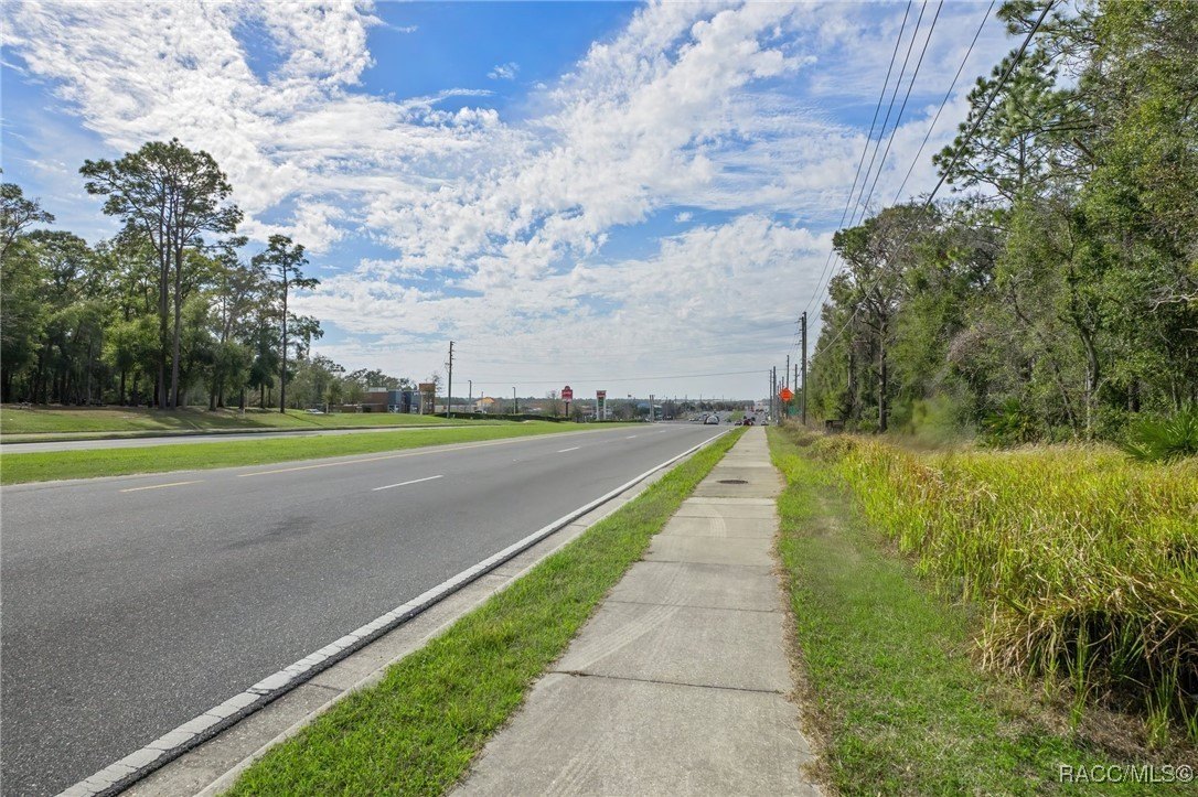 Lecanto, Florida, 34461, United States, ,Land,For Sale,1982183