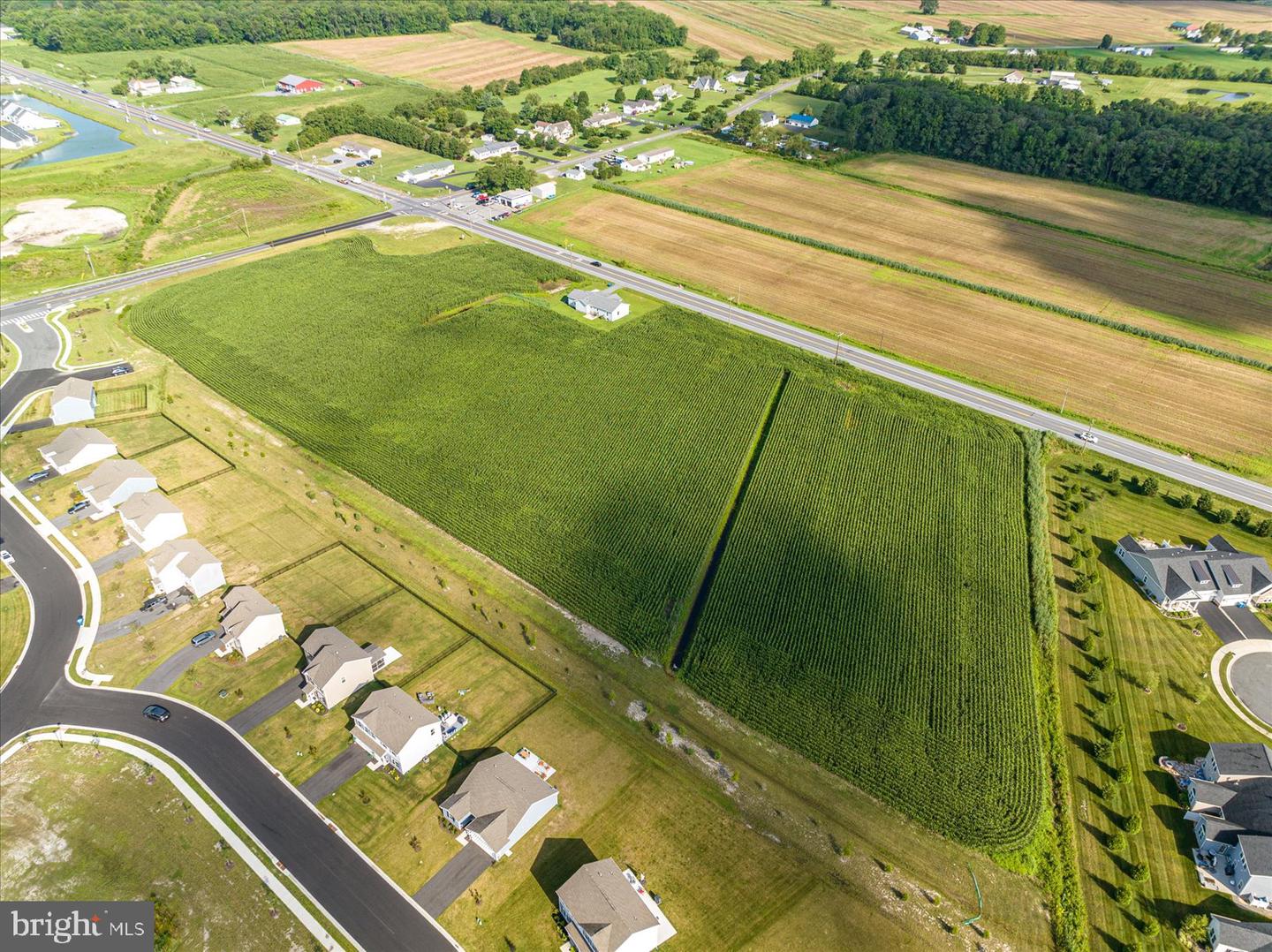 32474 Lighthouse Road, Selbyville, Delaware, 19975, United States, ,Land,For Sale,32474 Lighthouse Road,1613559