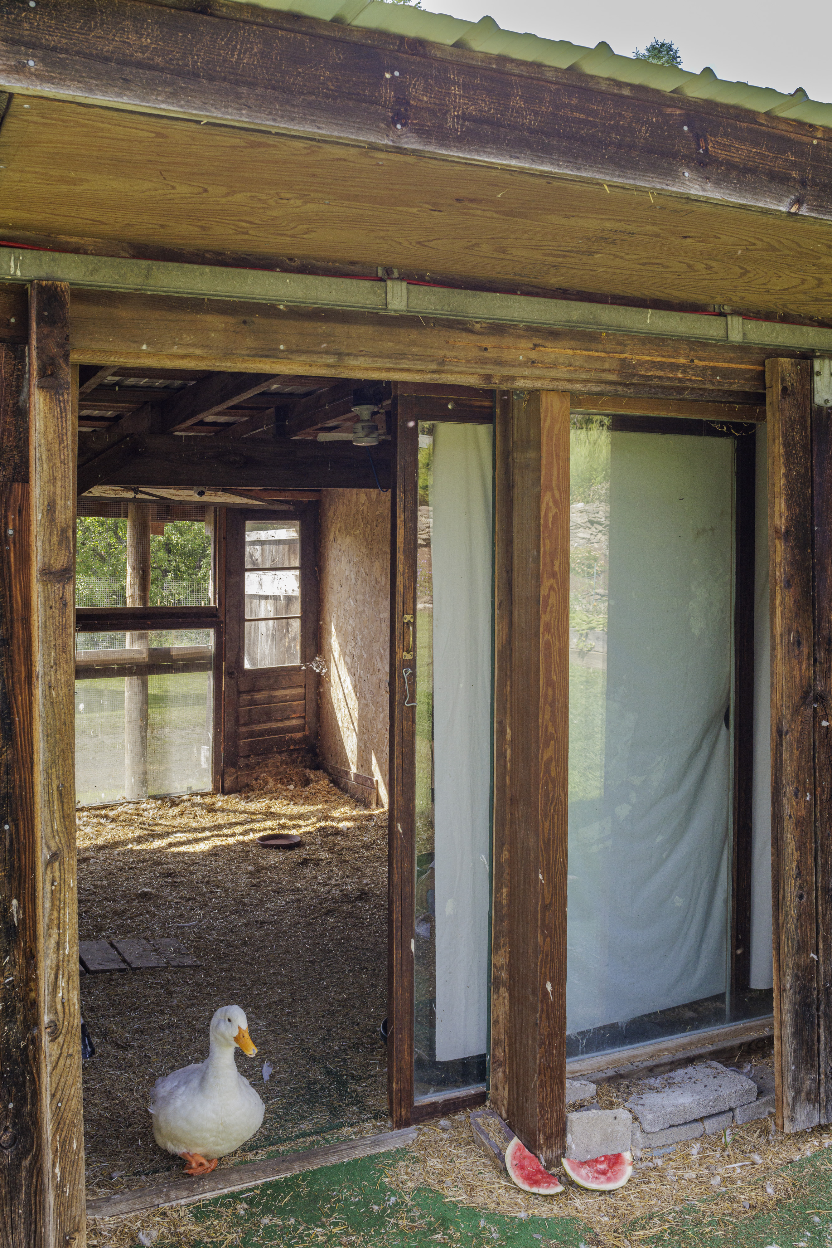  351 Warners Lake Road, East Berne, NY 12059 - 物件實景