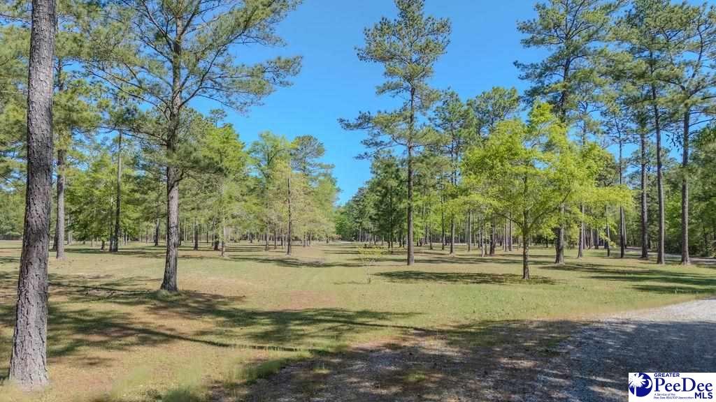 1315 Hill Harrell Road, Effingham, South Carolina, 29541-3179, United States, ,Land,For Sale,1315 Hill Harrell Road,1501598