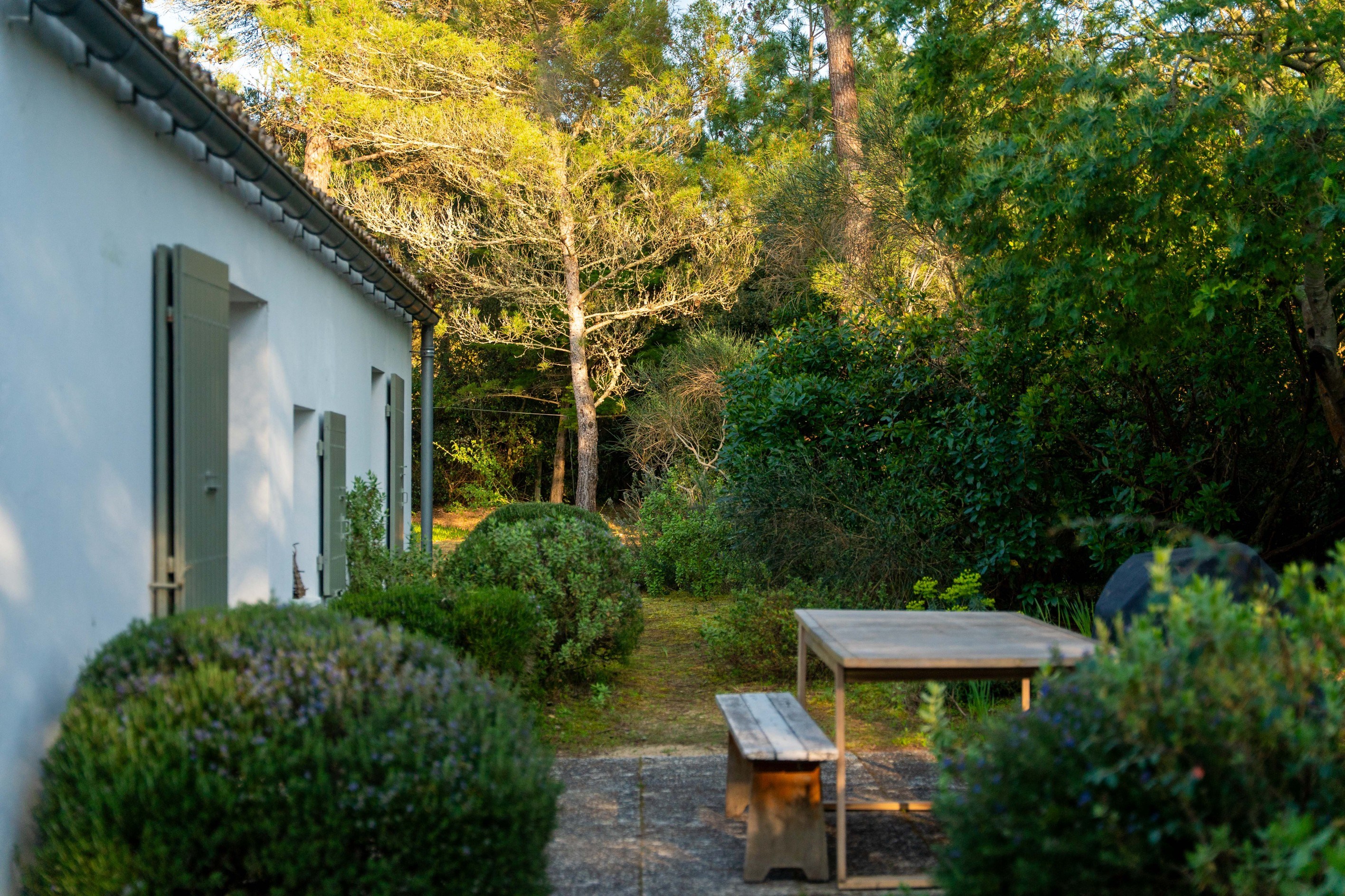  Île de Ré – Les Portes-en-Ré - Exceptional Property Nestled in a Pine Forest, J… - 物件實景