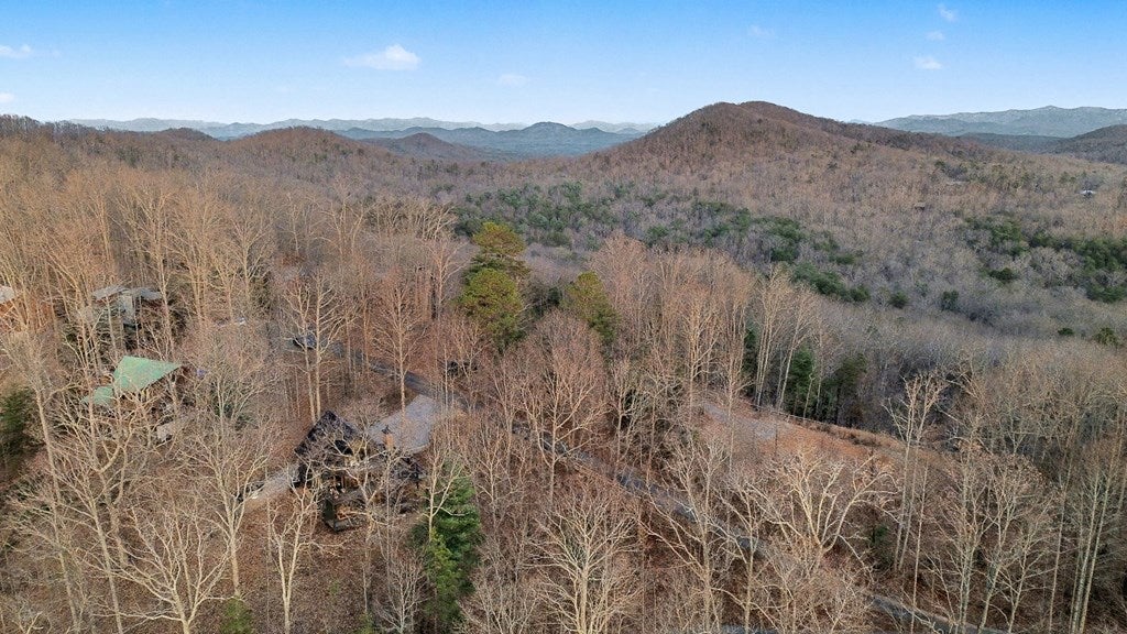 Mineral Bluff, Georgia, 30559, United States, 3 Bedrooms Bedrooms, ,3 BathroomsBathrooms,Residential,For Sale,2006593