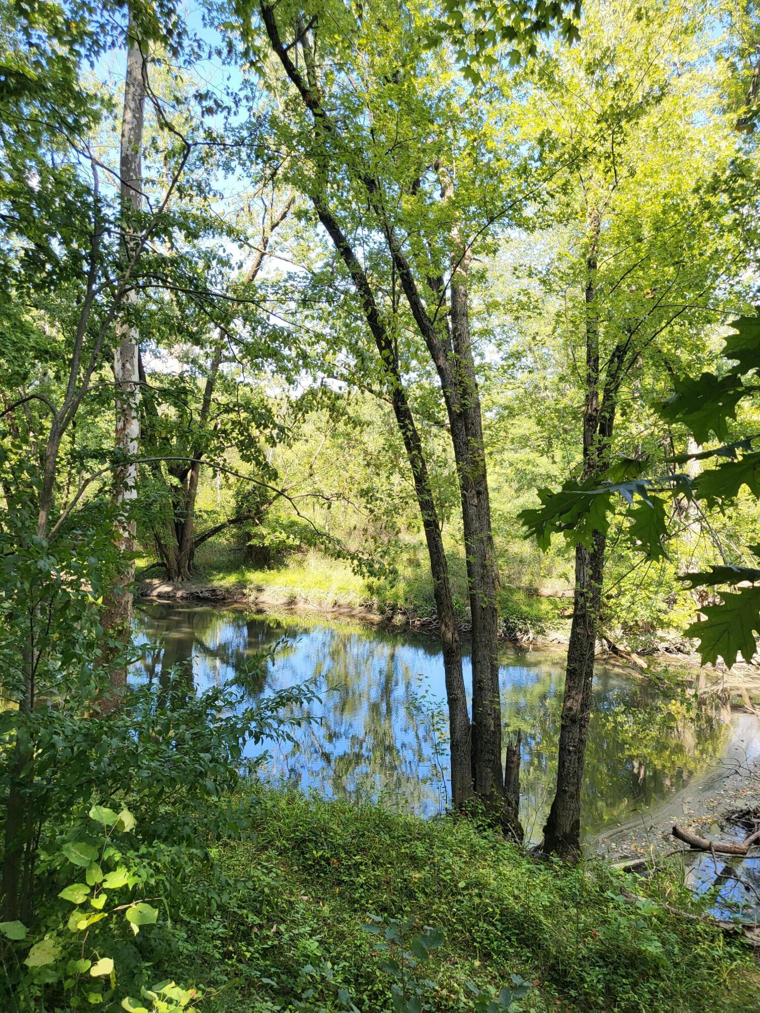 Union Pier, Michigan, 49129, United States, ,Land,For Sale,1988293