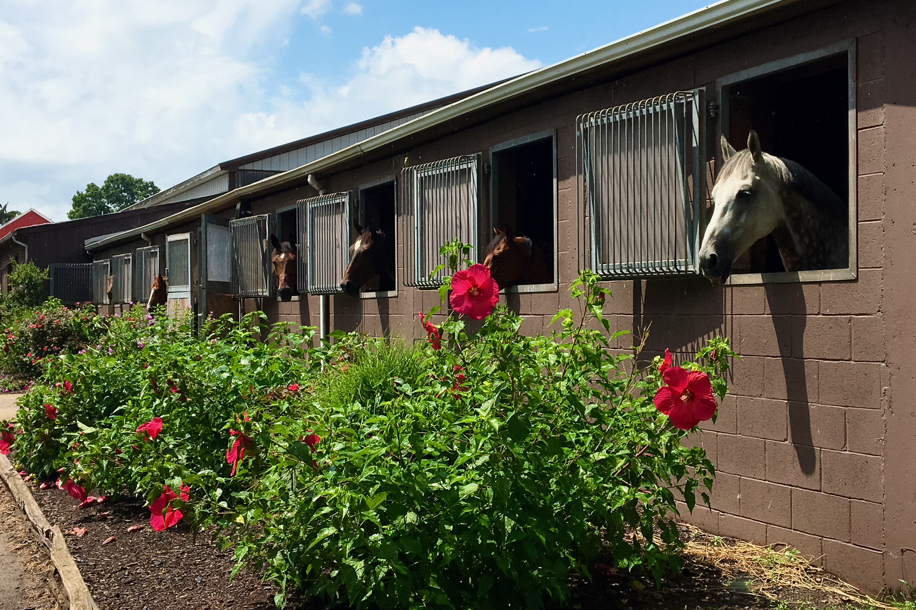  Turn-key Exceptional Princeton Area Equestrian Estate and Preserved Farm - 物件實景
