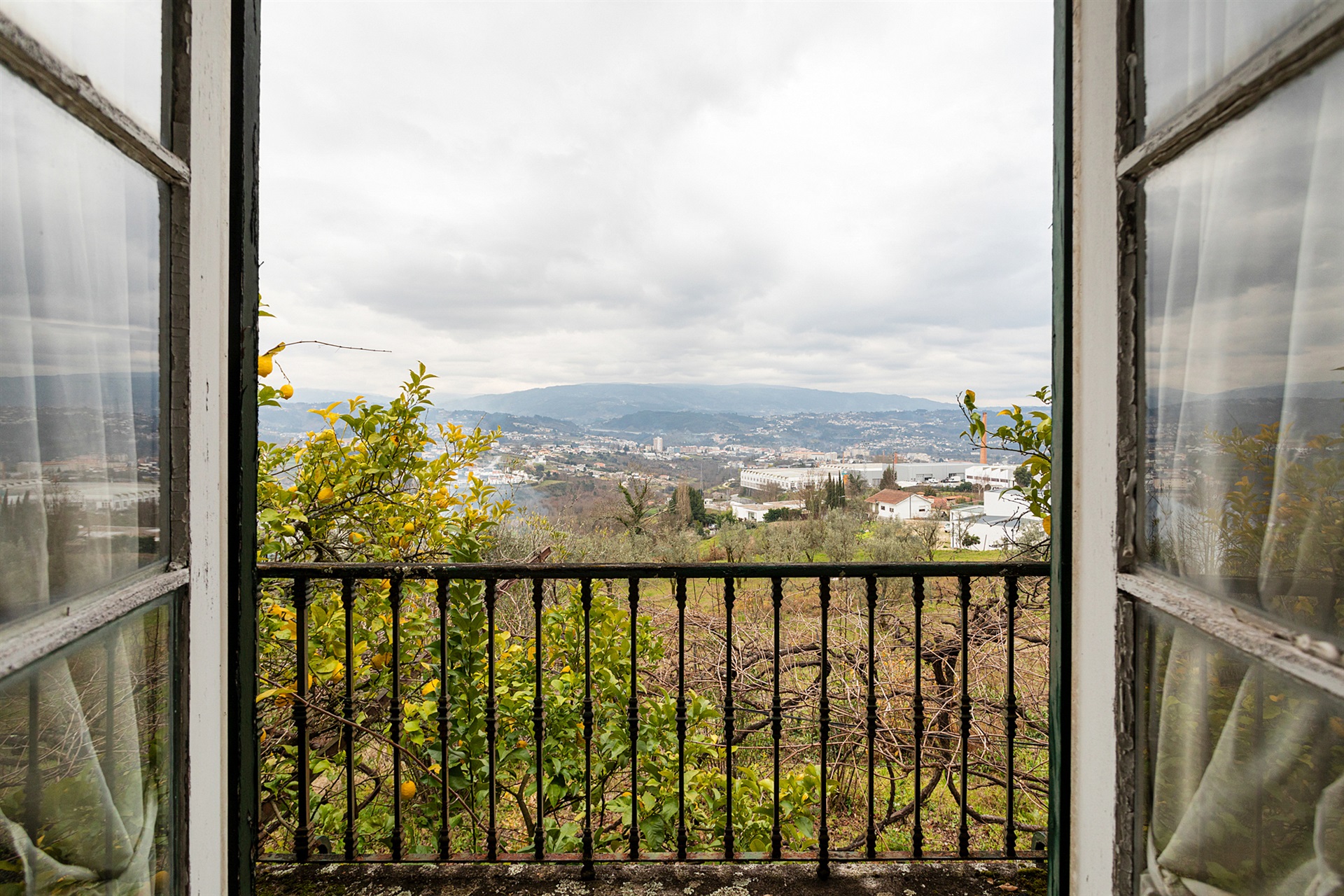  Small Farm, 4 bedrooms, for Sale - 物件實景