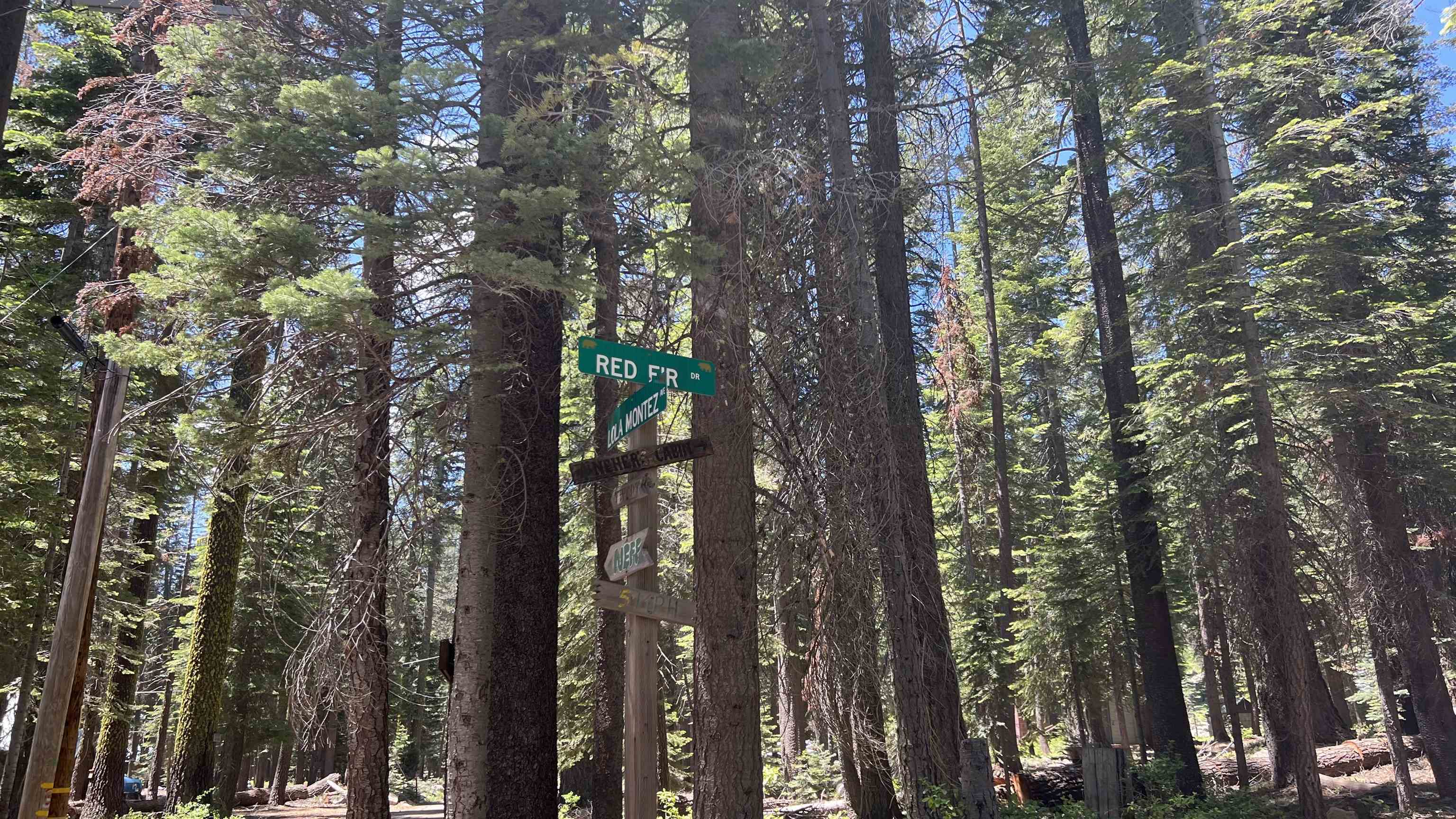 Soda Springs, California, 95728, United States, ,Land,For Sale,1998157