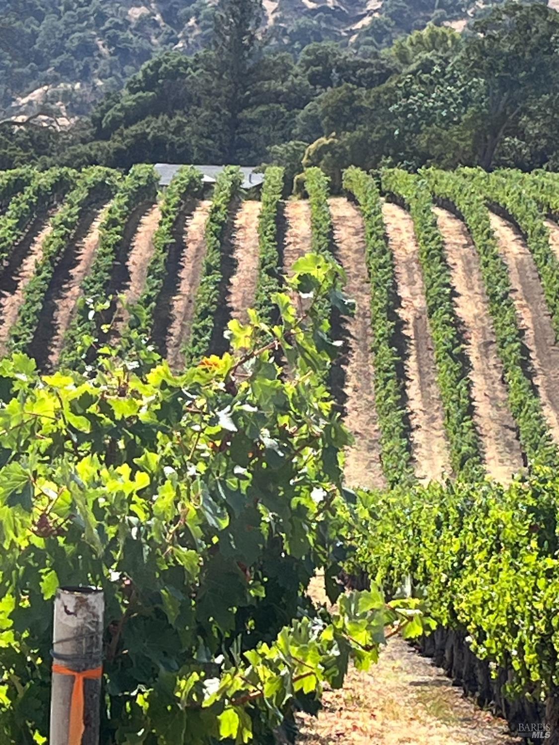 Napa, California, 94558, United States, 3 Bedrooms Bedrooms, ,3 BathroomsBathrooms,Residential,For Sale,1991897