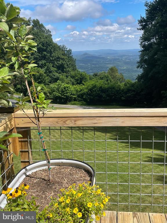 Chester Gap, Virginia, 22623, United States, 4 Bedrooms Bedrooms, ,4 BathroomsBathrooms,Residential,For Sale,1980820