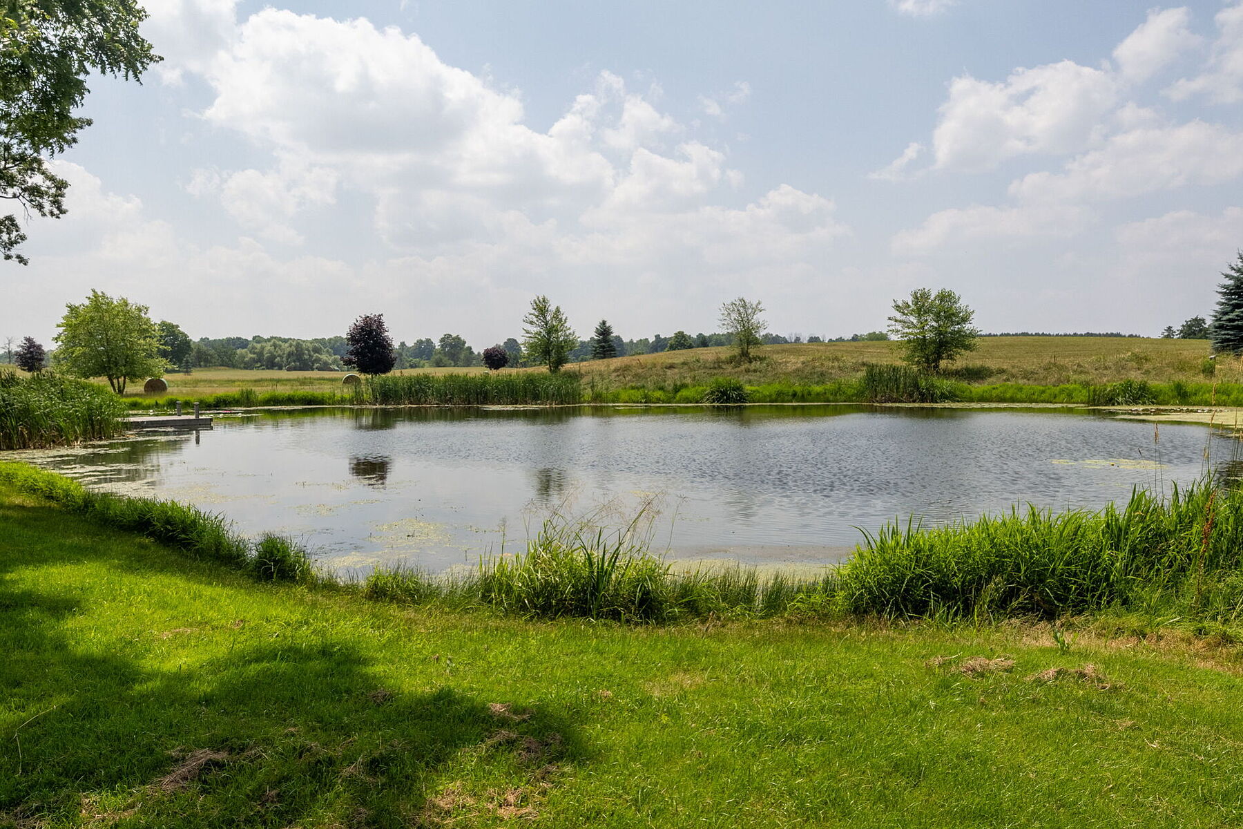  96-acre Farm Estate - 物件實景