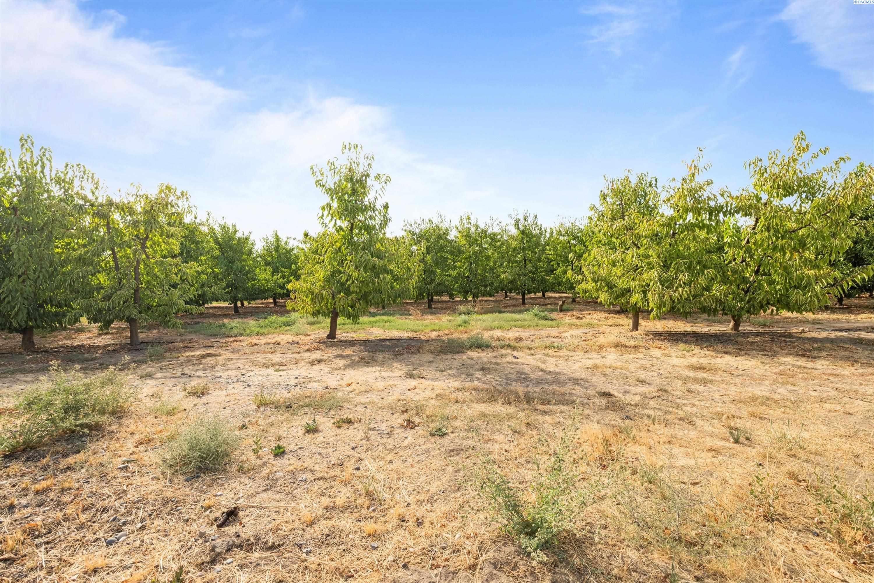 Benton City, Washington, 99320, United States, ,Residential,For Sale,1998007