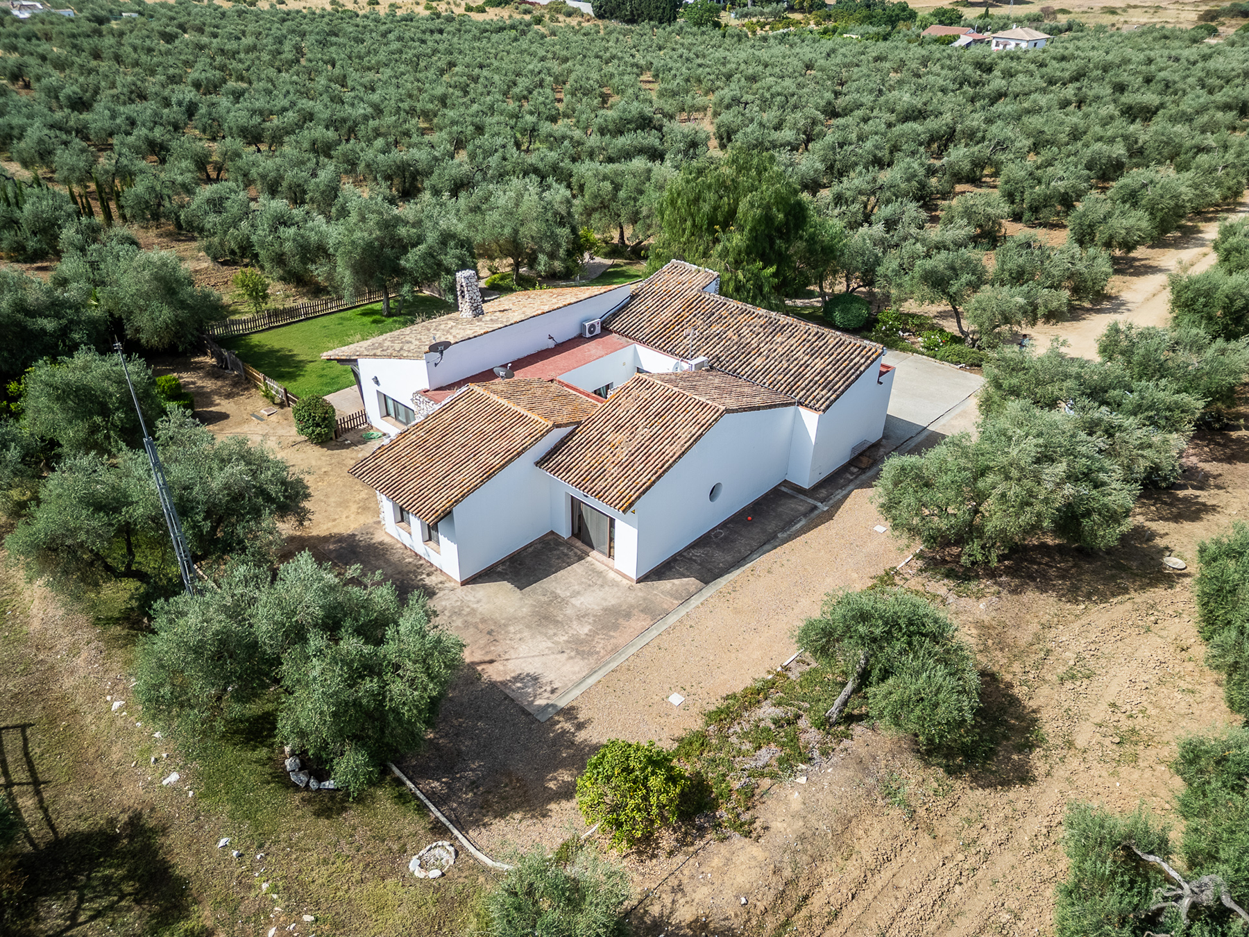  Exclusive equestrian estate next to the Pre-Coto de Doñana - 物件實景