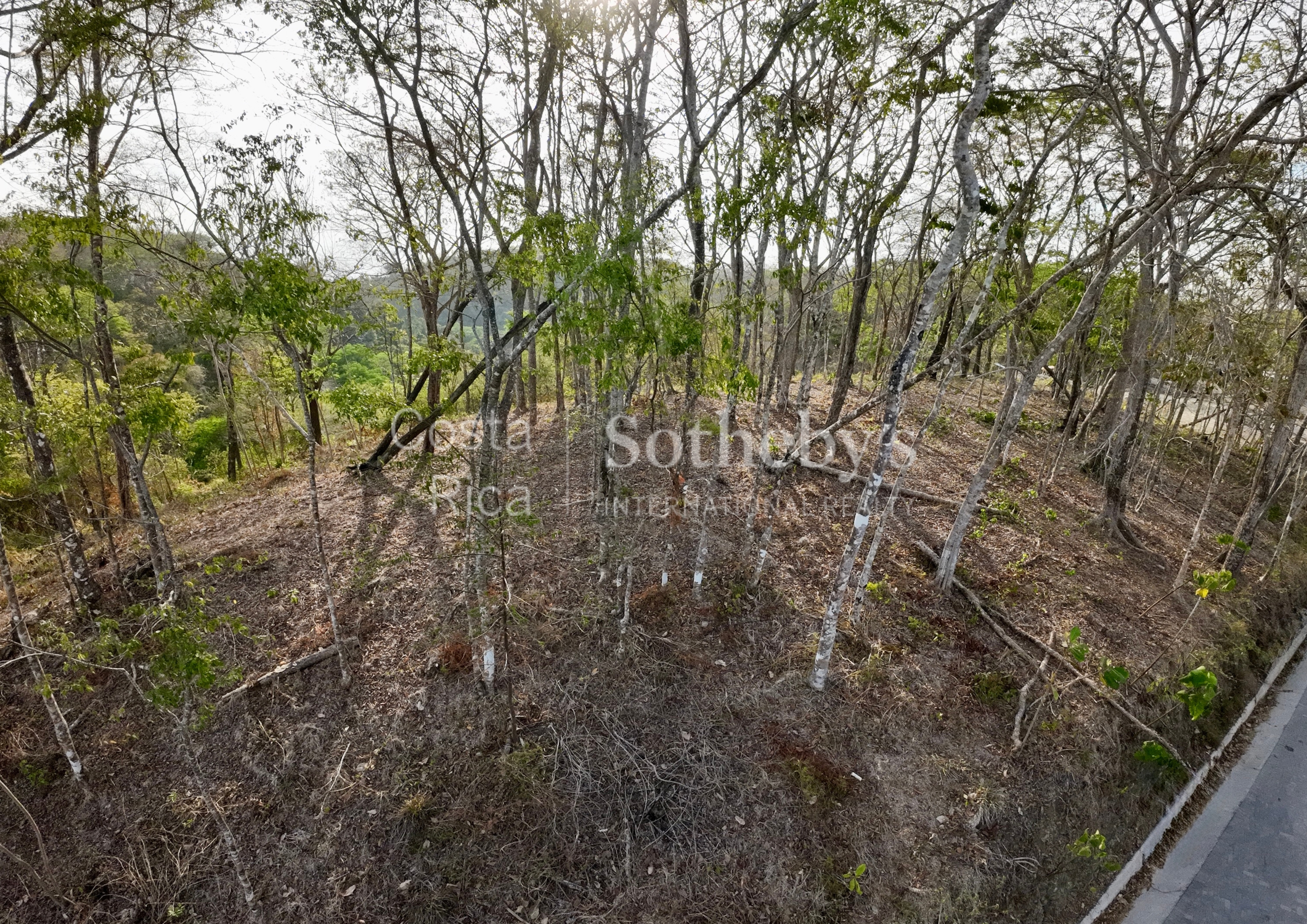  Idyllic Ocean View Lot in the Hills of Hermosa - 物件實景
