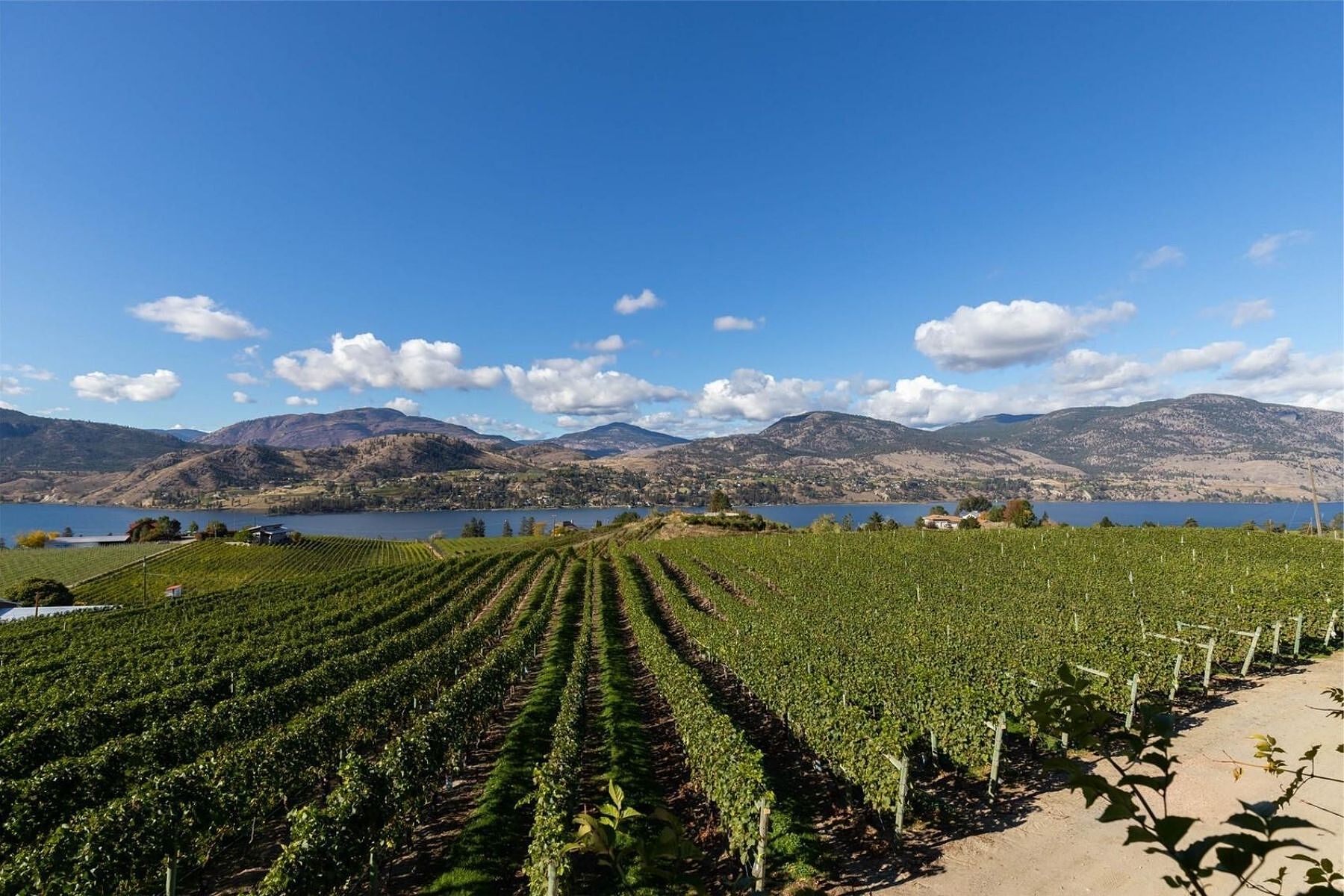  Boutique Okanagan Winery - 物件實景