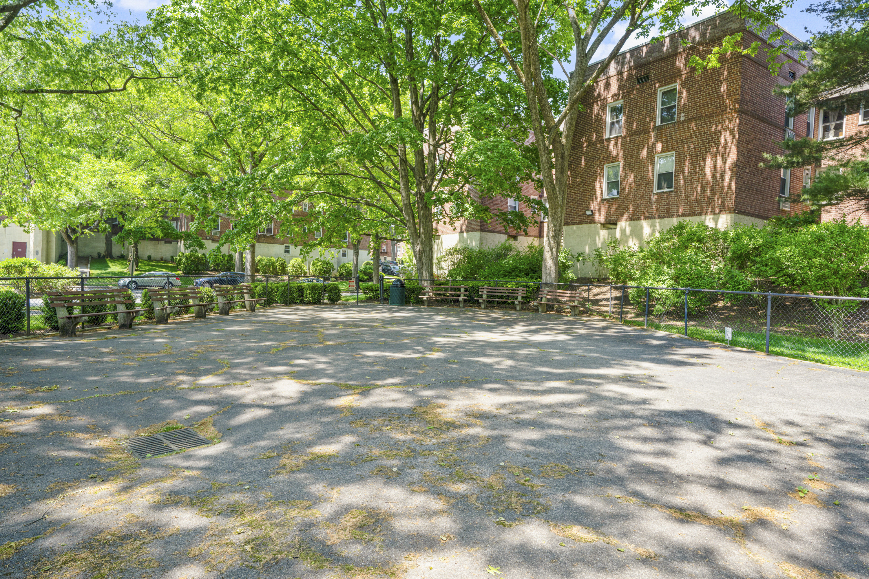  Beautiful Palmer Terrace Co-op - 物件實景