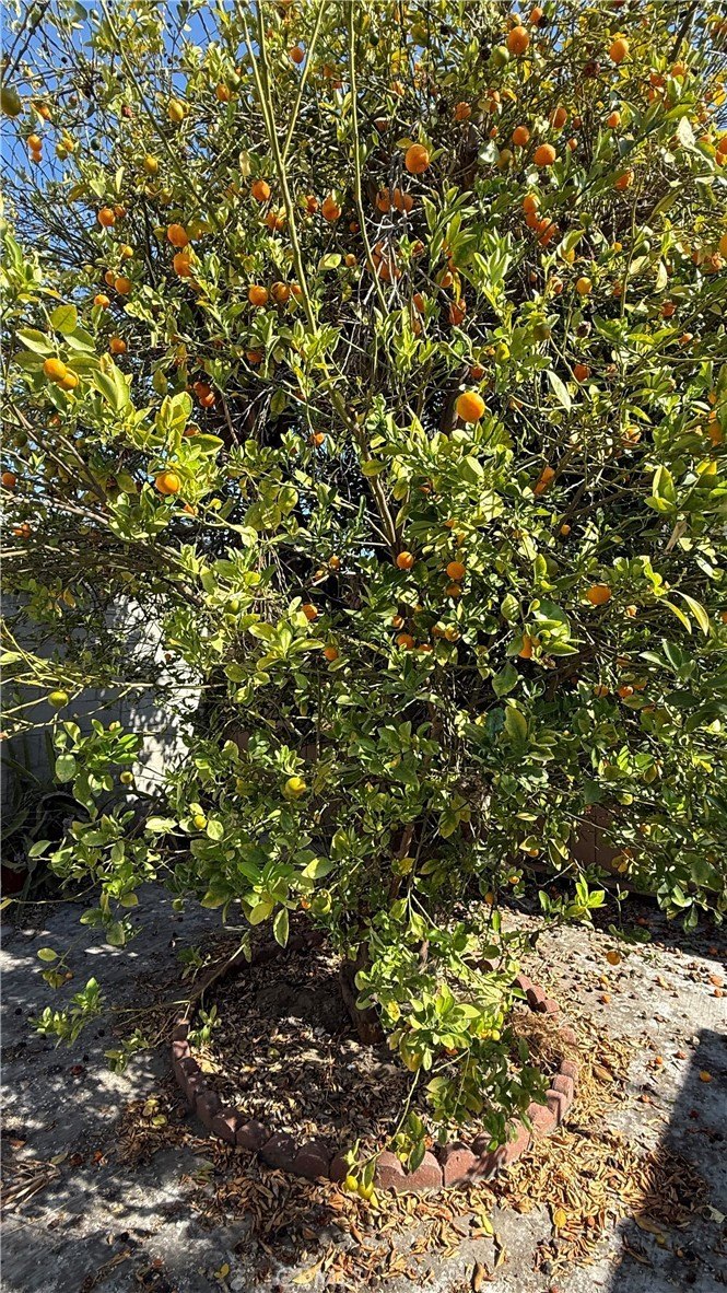 Long Beach, California, 90805, United States, 6 Bedrooms Bedrooms, ,3 BathroomsBathrooms,Residential,For Sale,1990198