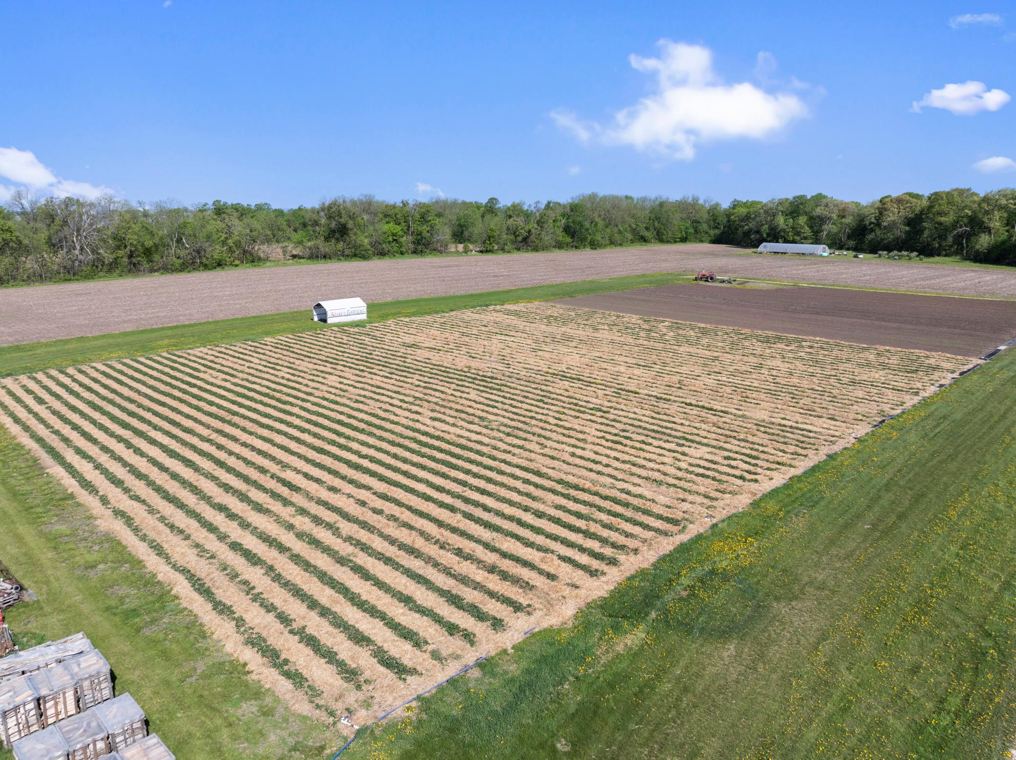 Bridgewater Twp, Minnesota, 55057, United States, ,Residential,For Sale,1851900