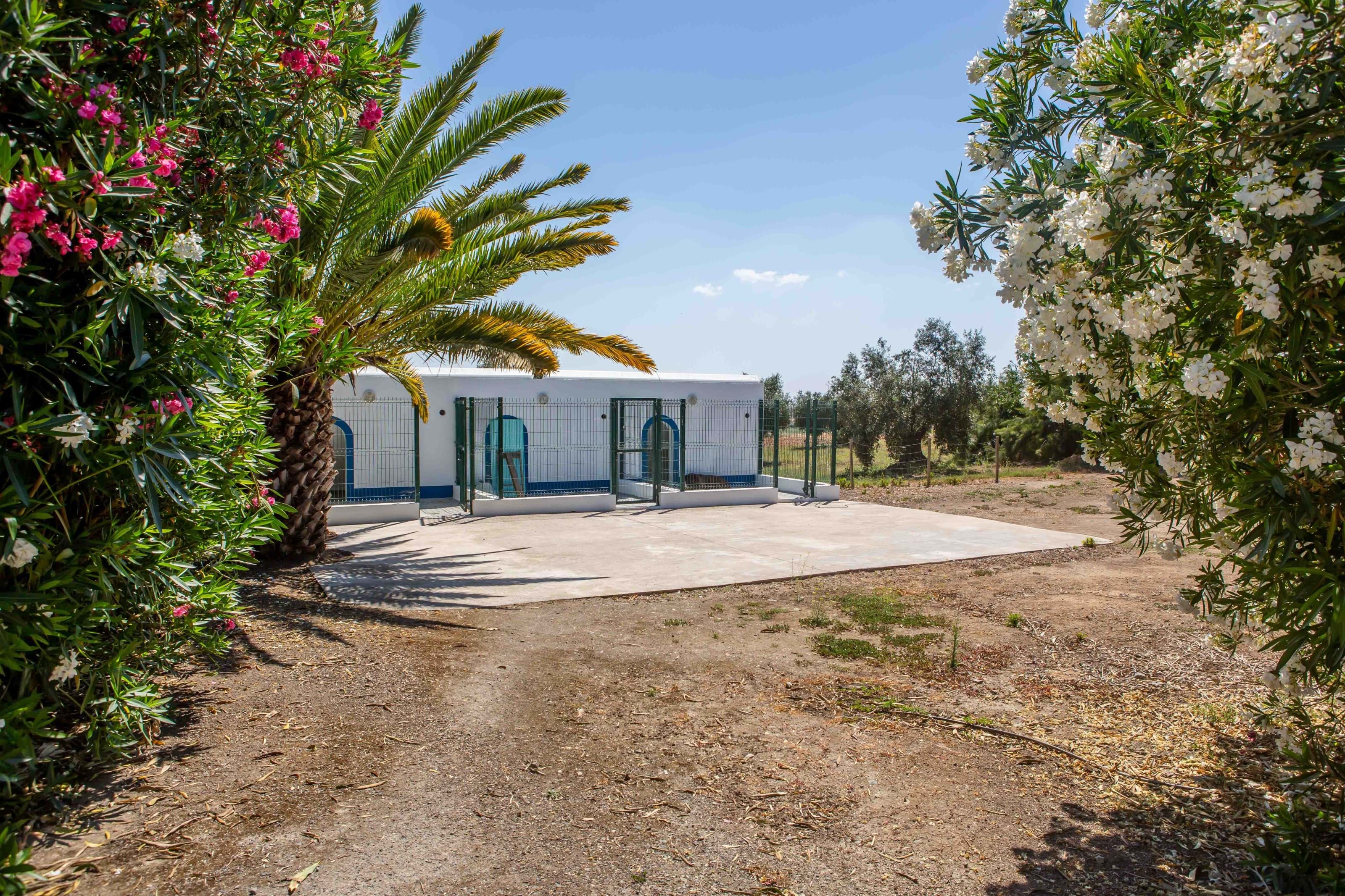 Ferreira do Alentejo, Beja, 7900-110, PT, 10 Bedrooms Bedrooms, ,11 BathroomsBathrooms,Residential,For Sale,1698854