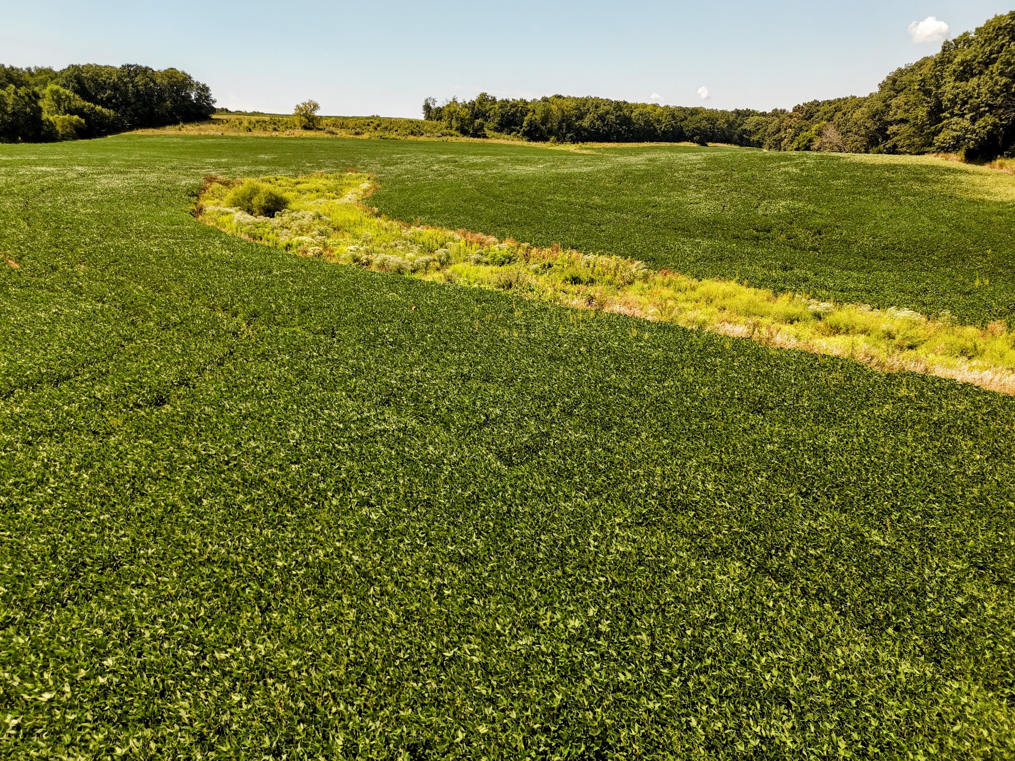 Monroe City, Missouri, 63456, United States, ,Land,For Sale,1980469