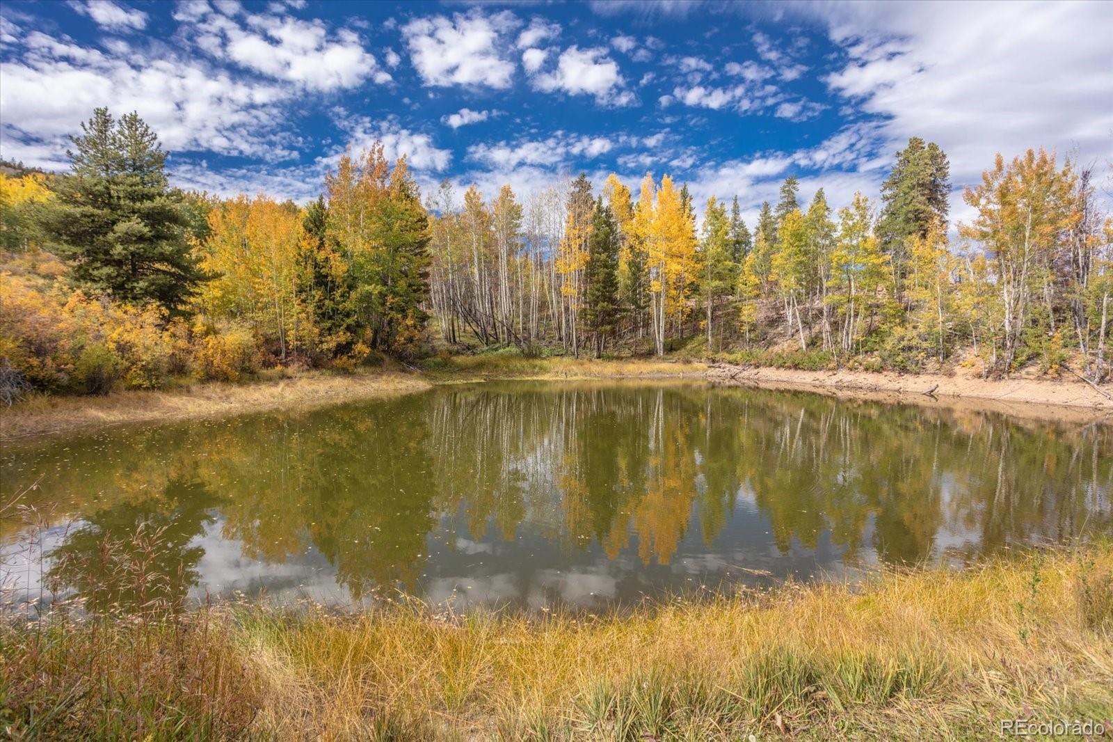Twin Lakes, Colorado, 81251, United States, ,Land,For Sale,1975284