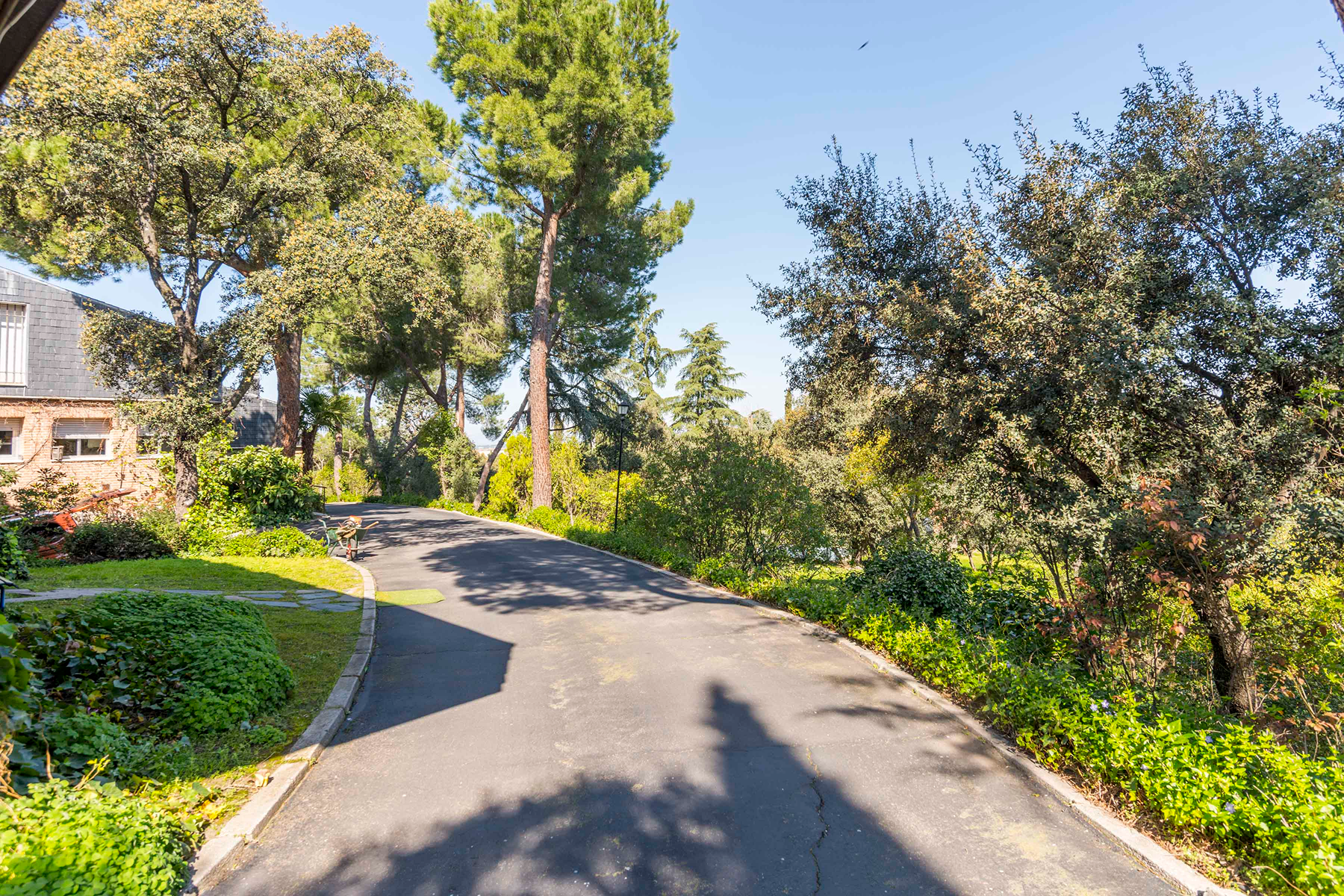  Wonderful hectare plot in La Moraleja - 物件實景