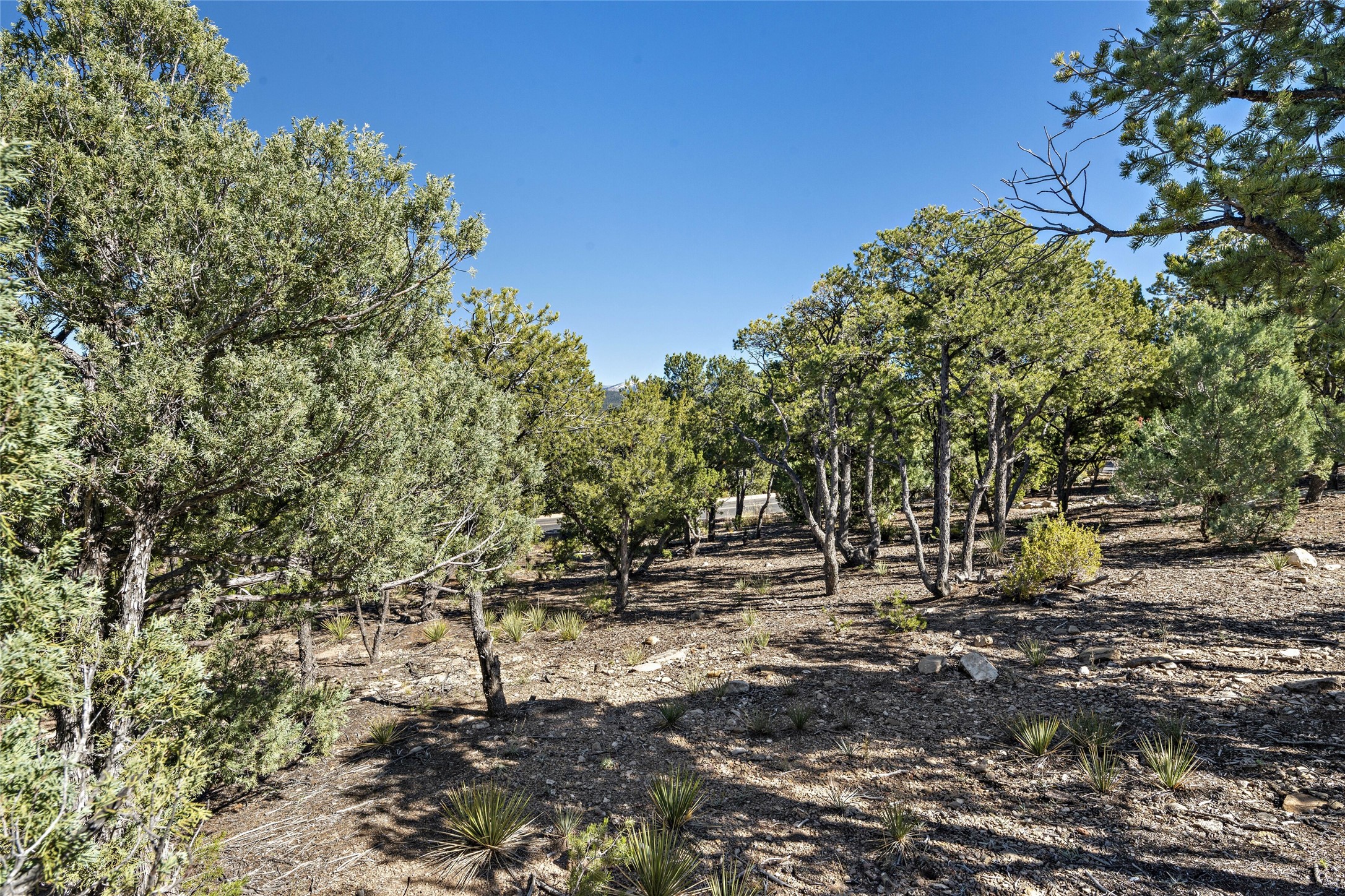  1164 S Summit Drive, Lot 15 - 物件實景