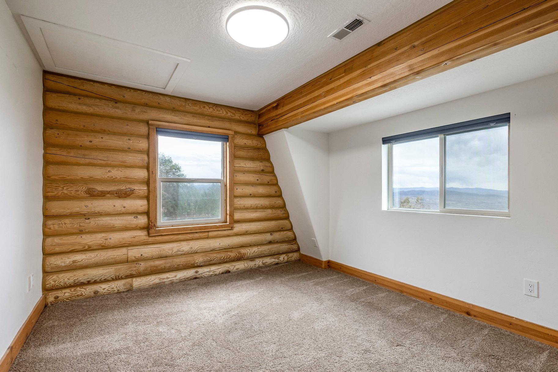  Large Cabin on 1.1 Acres with Scenic Mountain Views - 物件實景