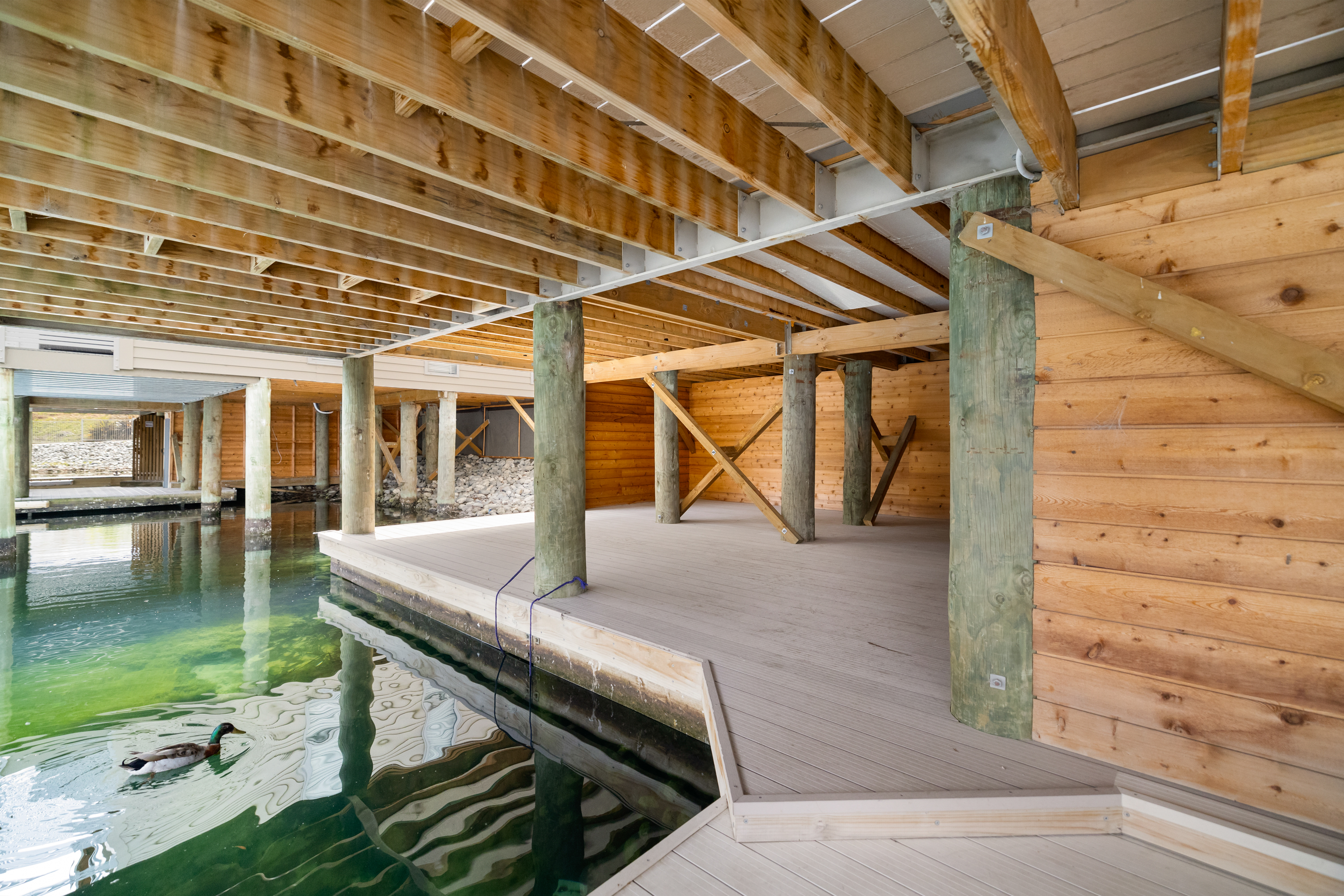  Three-Key Waterfront Villa on Lake Dunstan - 物件實景