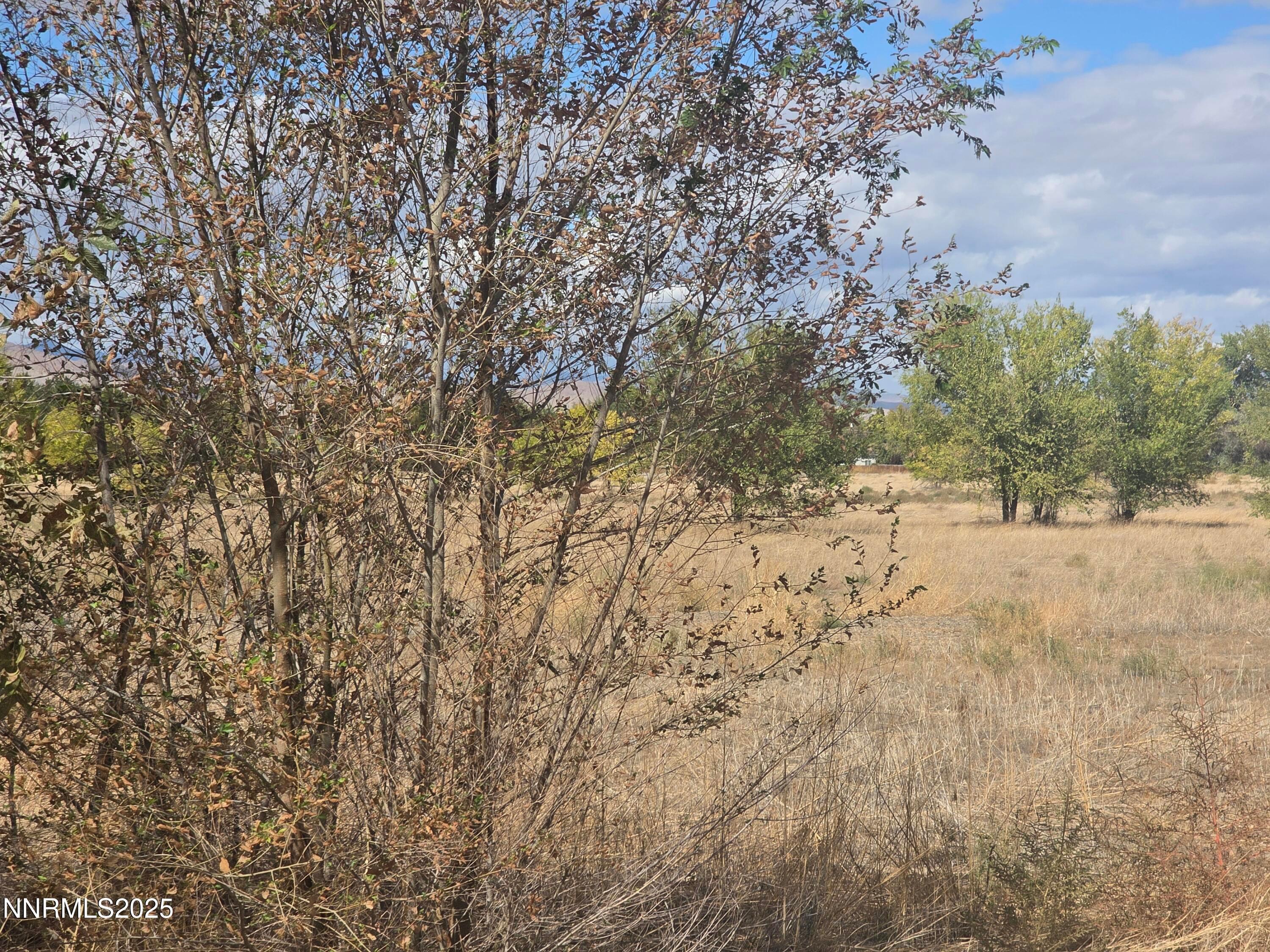 Yerington, Nevada, 89447, United States, ,Residential,For Sale,1987717