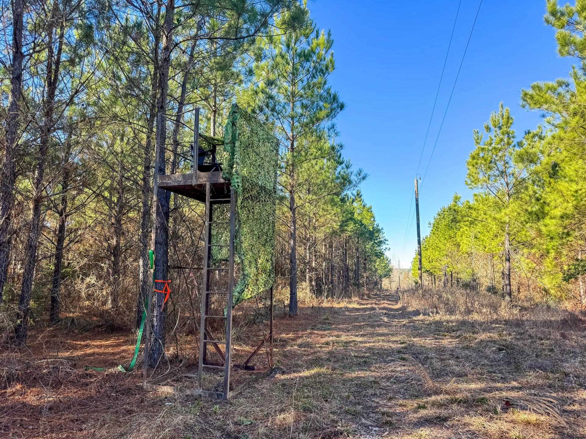 Linden, Texas, 75563, United States, ,Land,For Sale,2005293