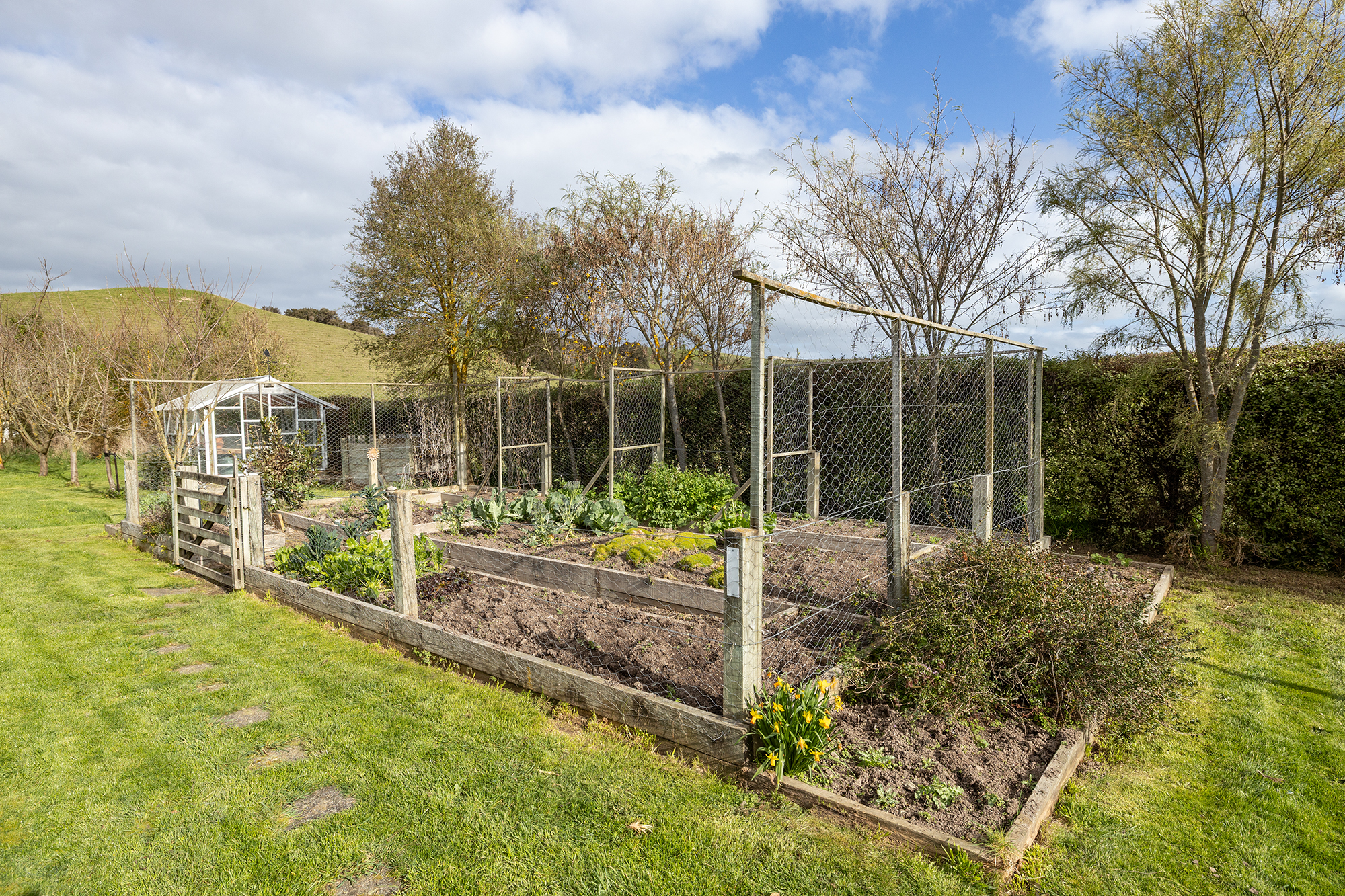  Martinborough Dream Lifestyle Property - 物件實景