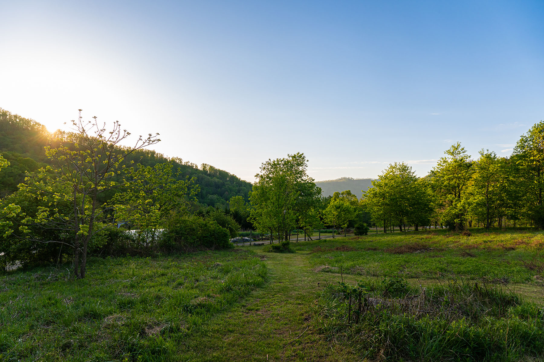  WEAVERVILLE - 物件實景