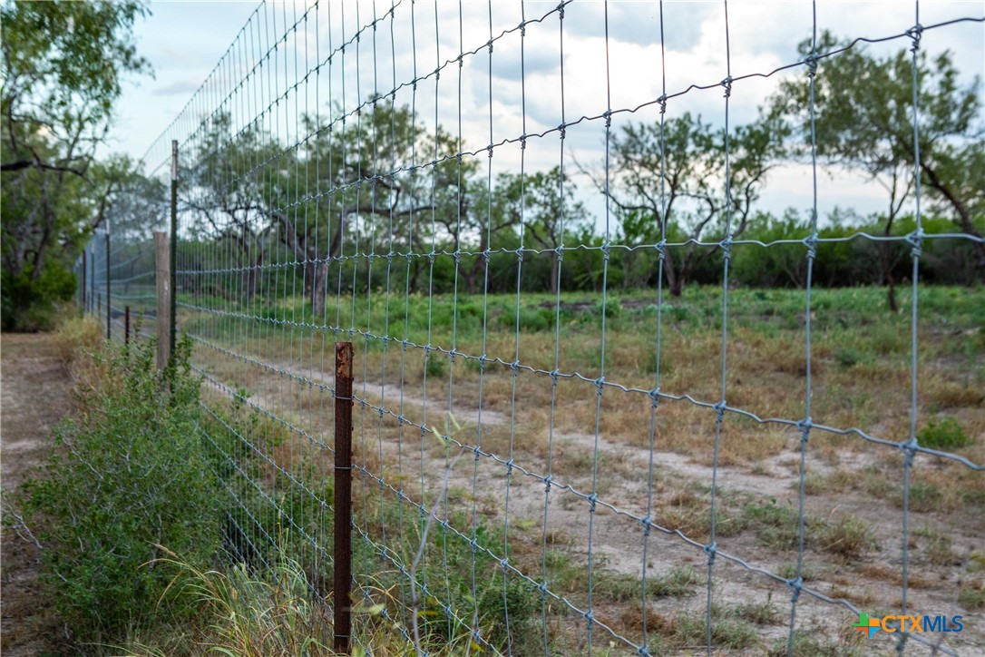 000 CR376, George West, Texas, 78022, United States, ,Land,For Sale,000 CR376,1676850