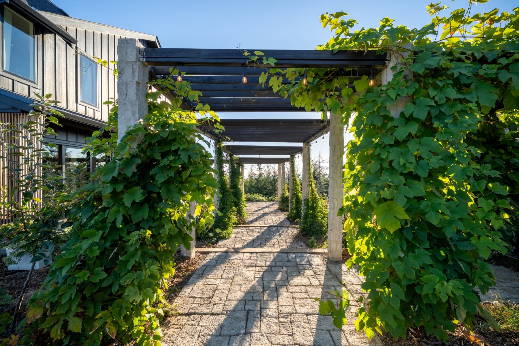  17071 NE HOLLY HILL RD Hillsboro, OR 97123 - 物件實景