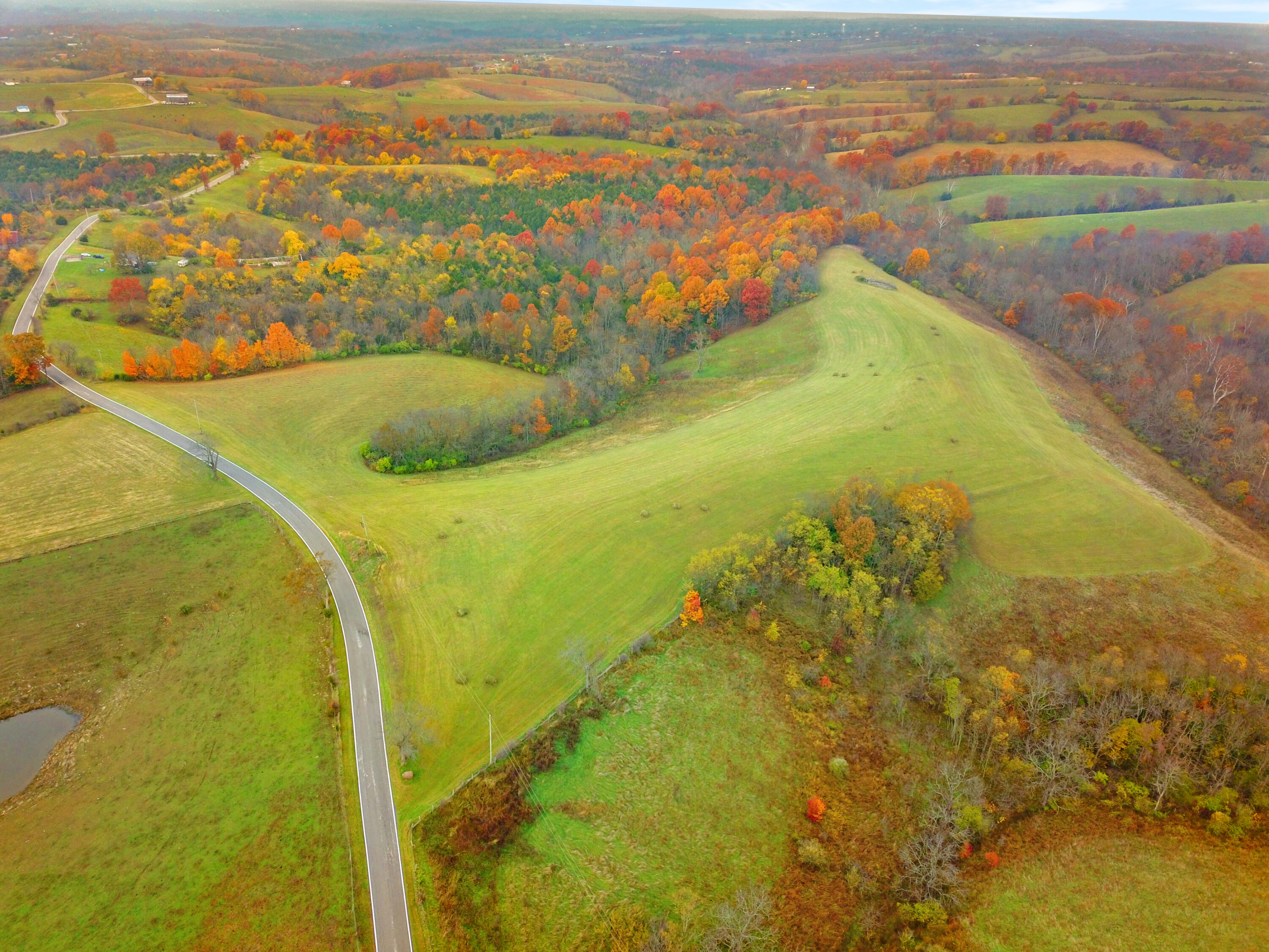 Williamstown, Kentucky, 41097, United States, ,Land,For Sale,1995668