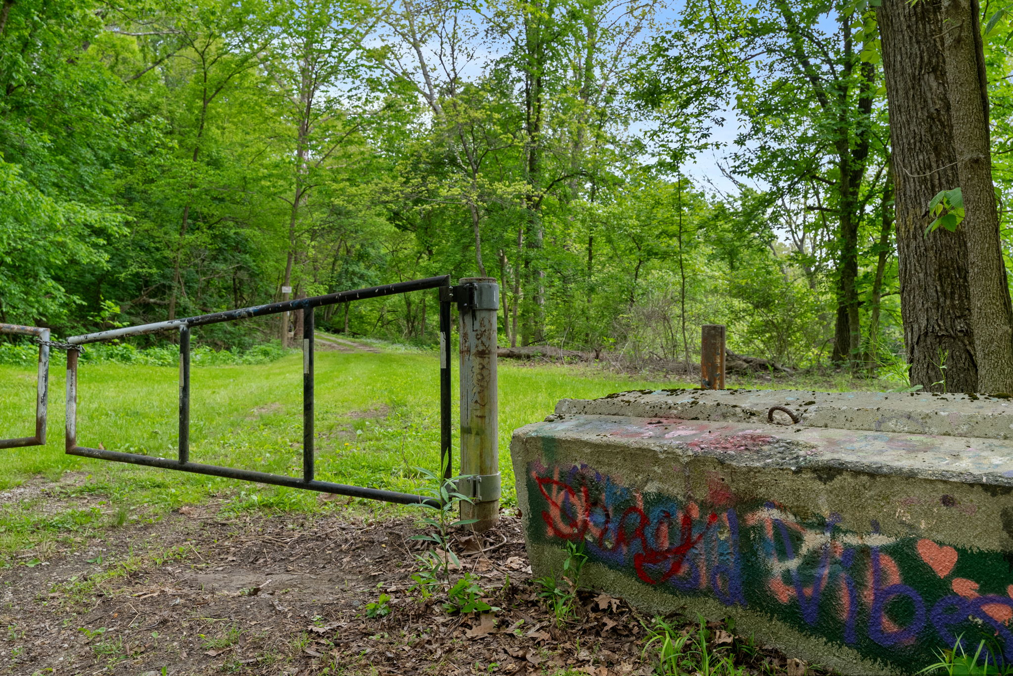 Rosedale, Indiana, 47874, United States, ,Land,For Sale,2049036