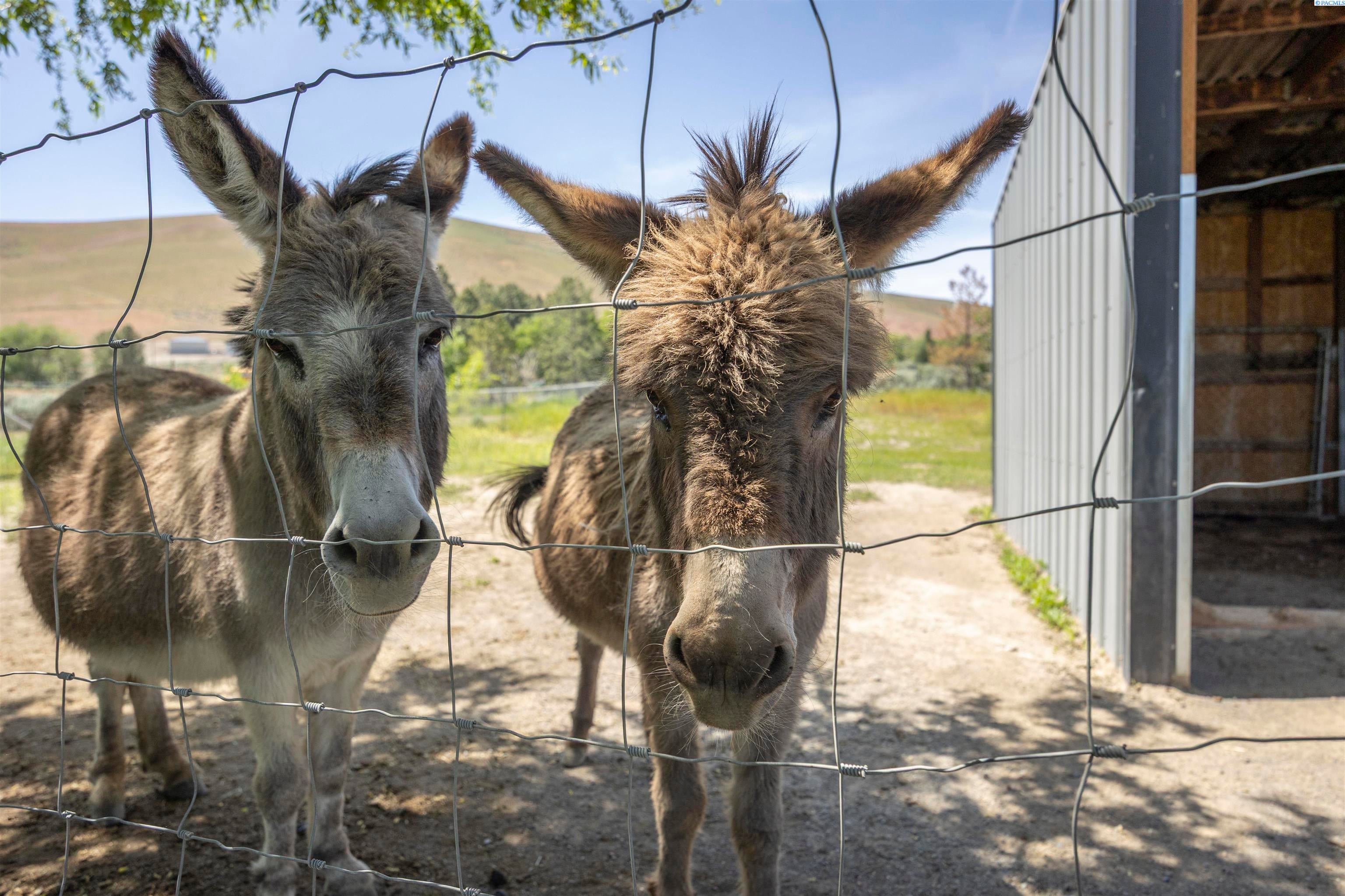 Benton City, Washington, 99320, United States, 3 Bedrooms Bedrooms, ,2 BathroomsBathrooms,Residential,For Sale,1983033