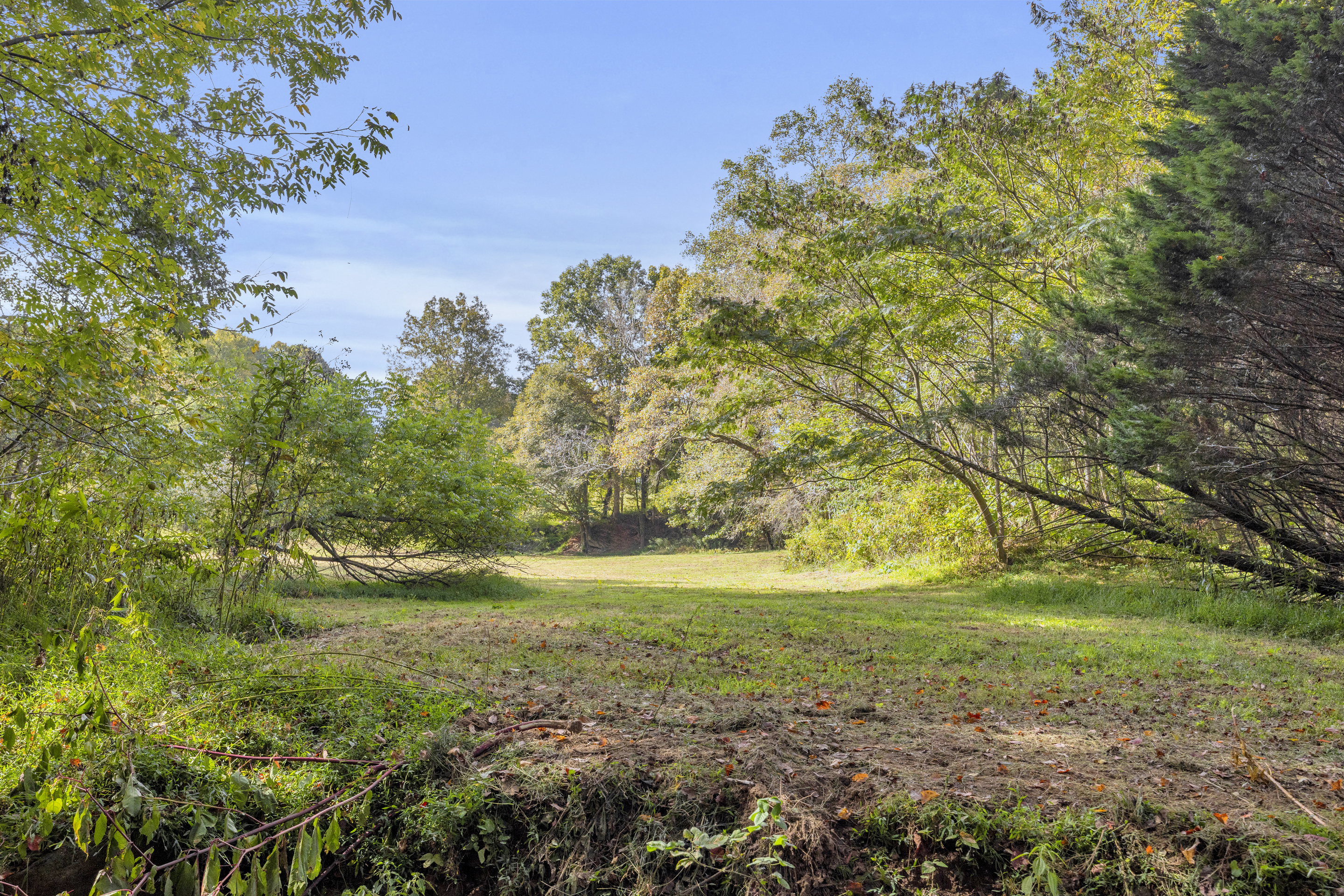 Cleveland, Georgia, 30528, United States, 3 Bedrooms Bedrooms, ,2 BathroomsBathrooms,Residential,For Sale,1979350