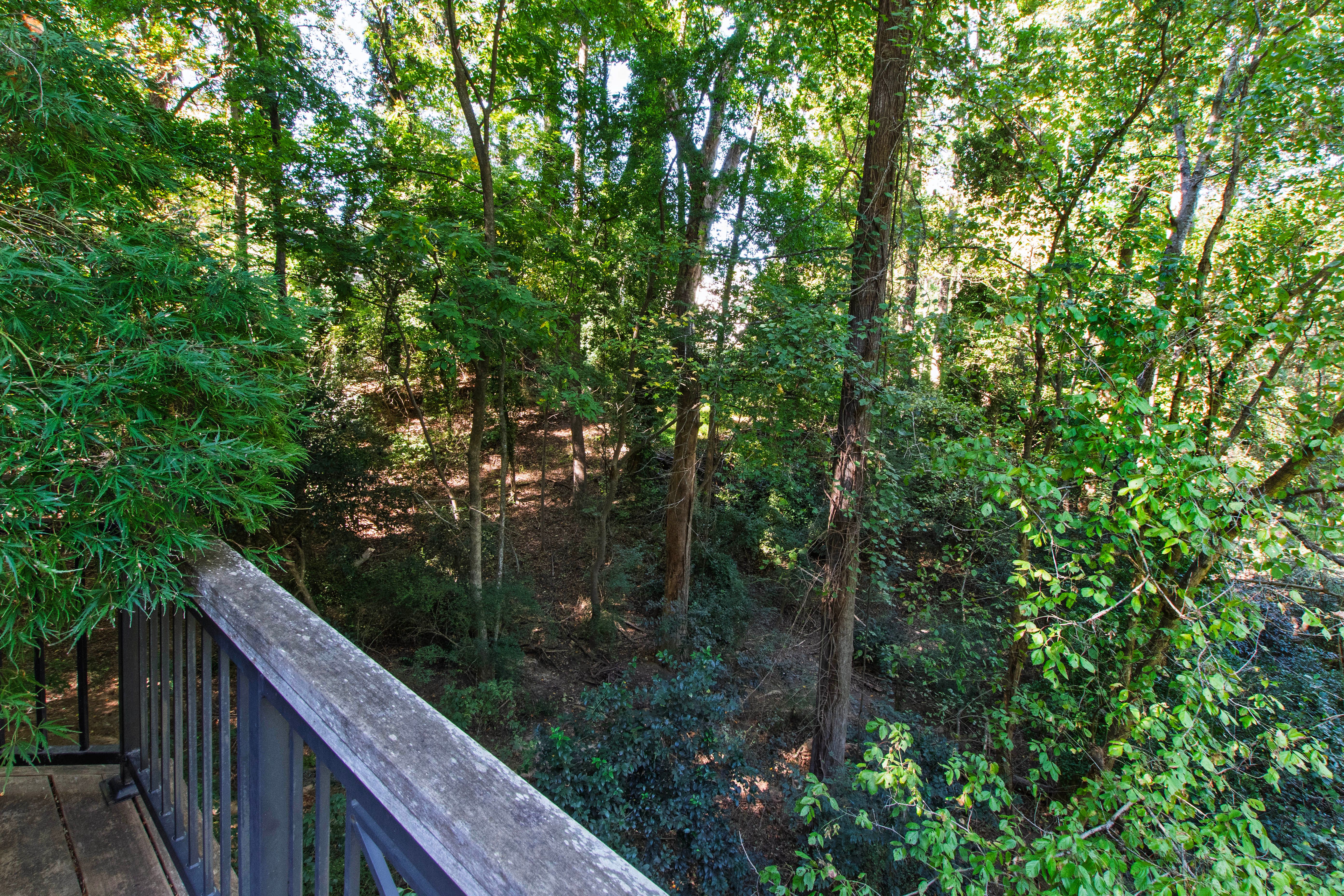  2845 Claremont Road, Raleigh, NC 27608 - 物件實景